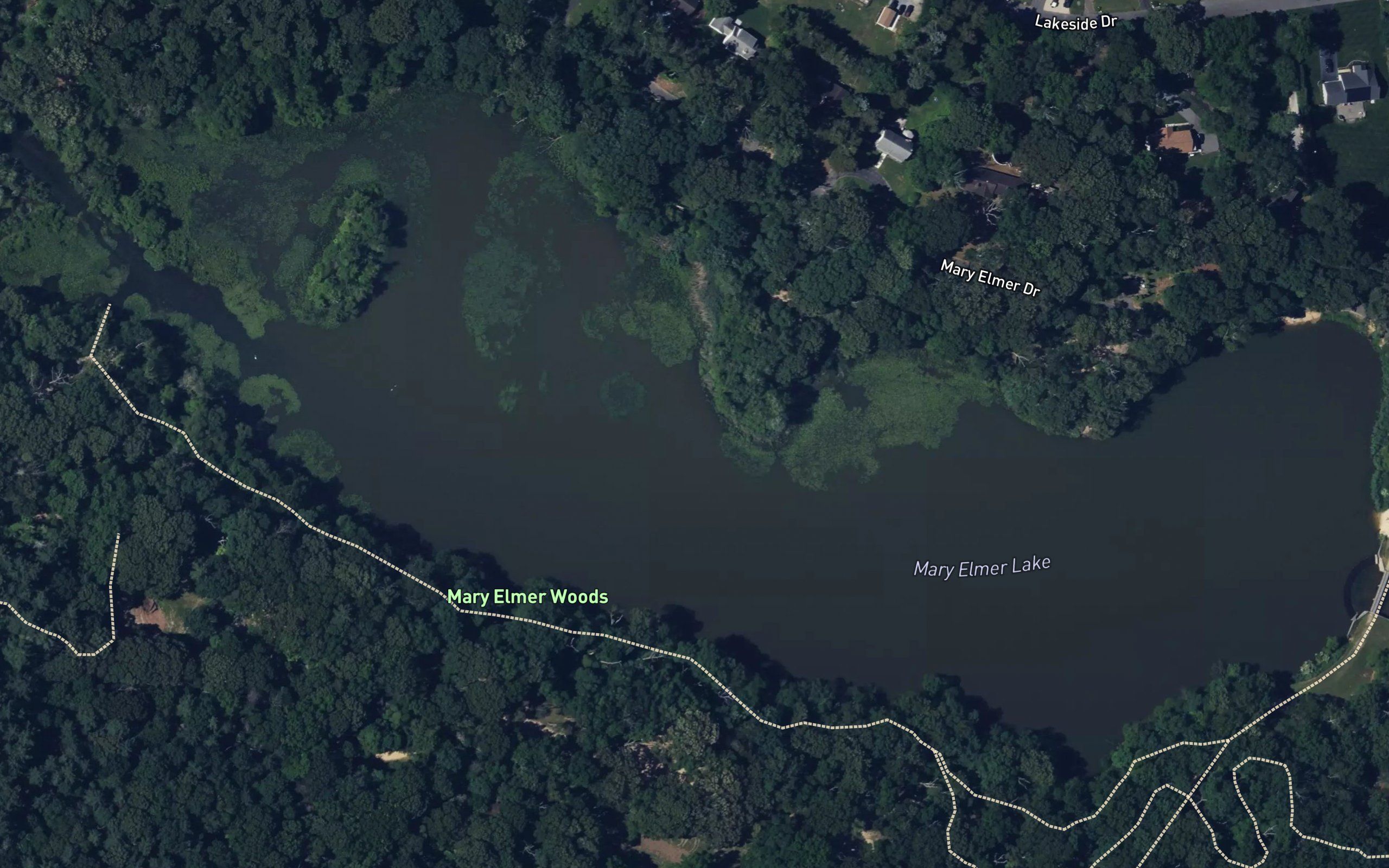 Mary Elmer Lake