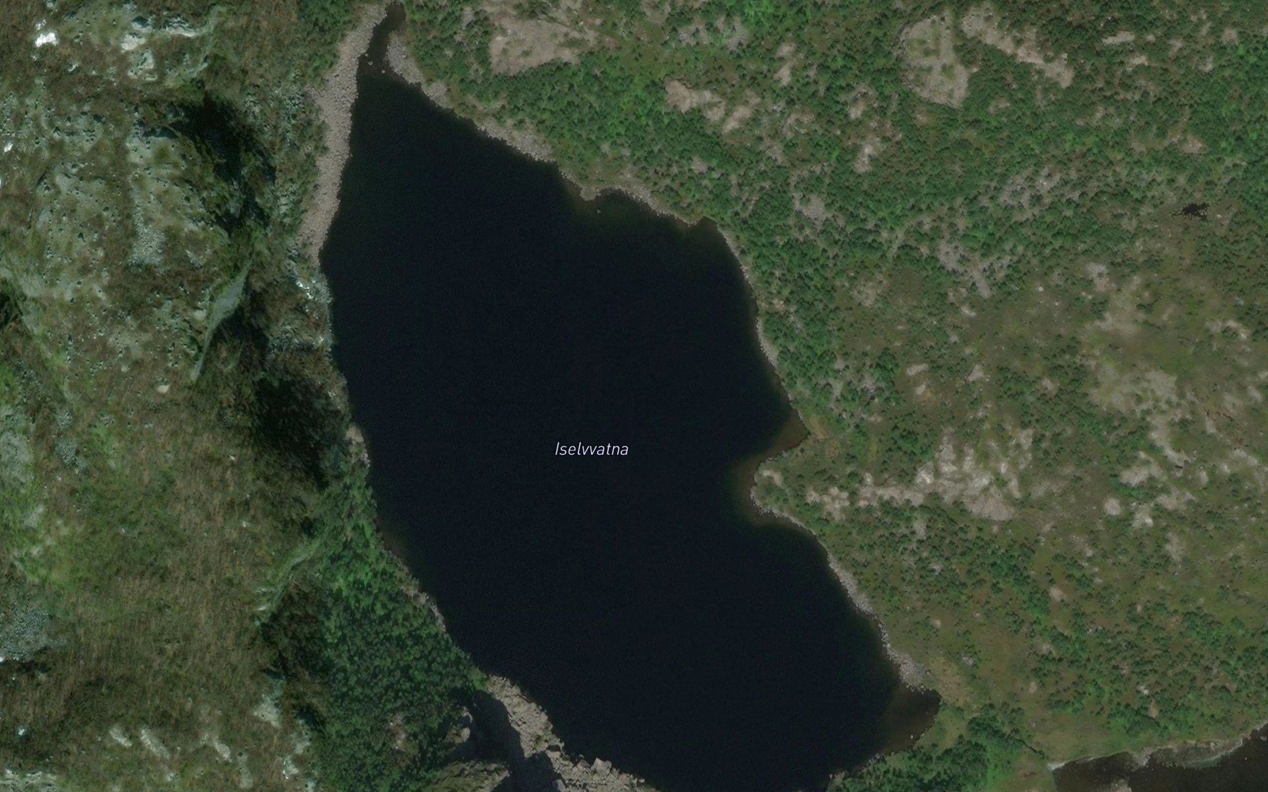 Iselvvatna