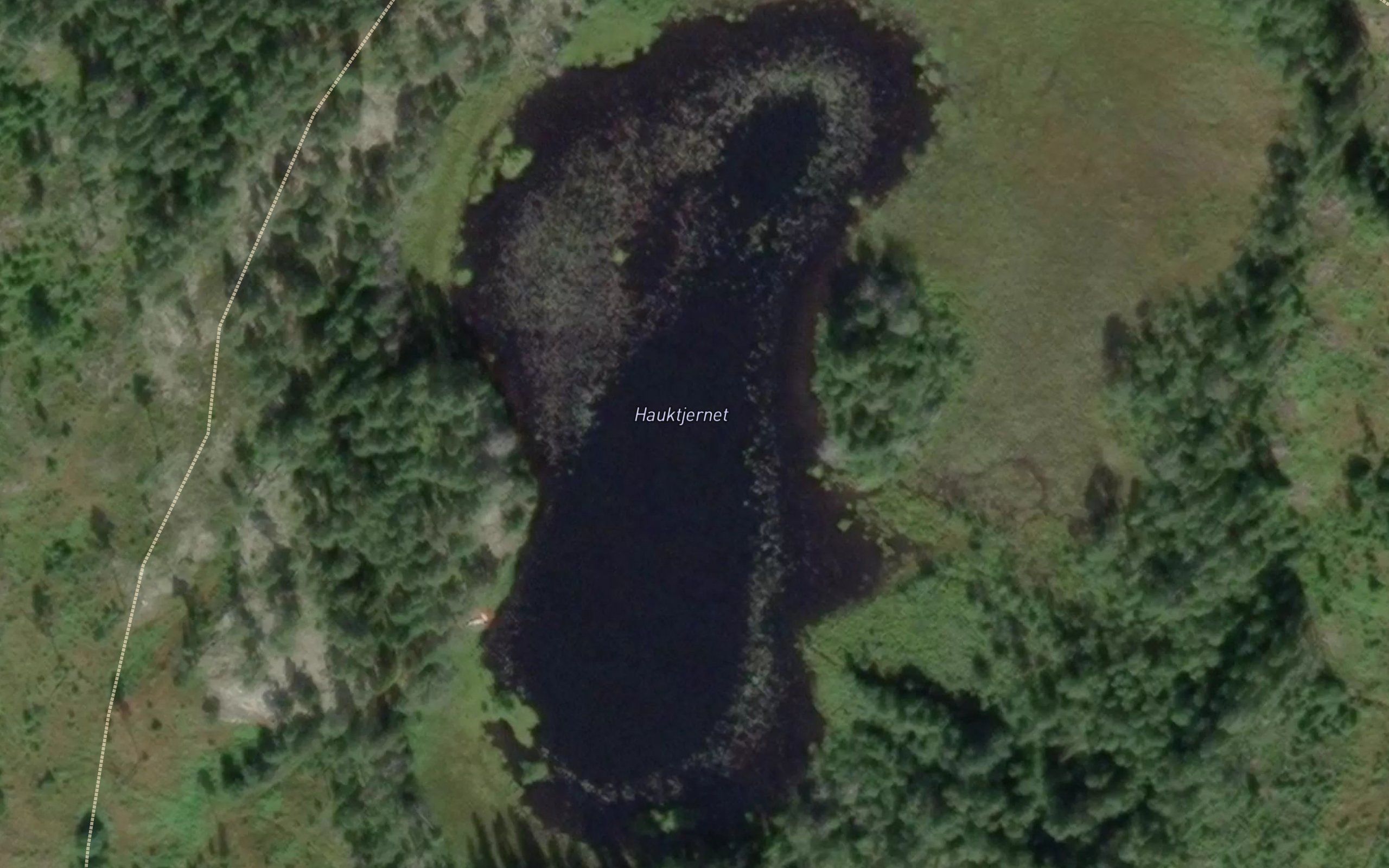 Hauktjernet