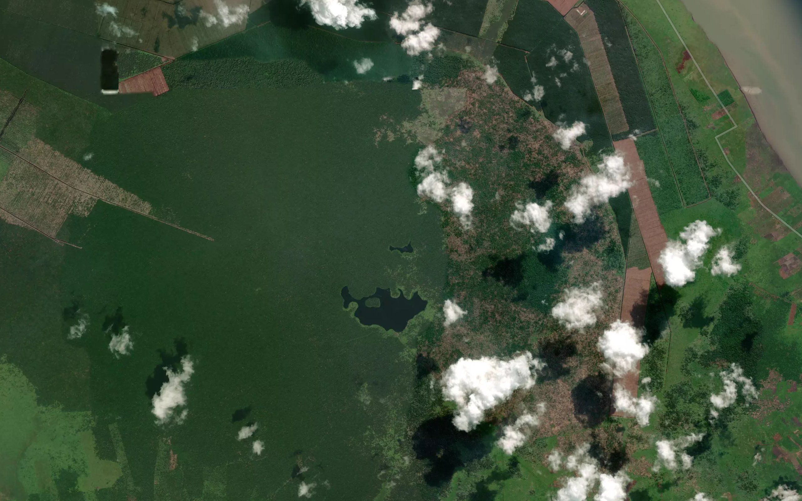 Tasik Ular