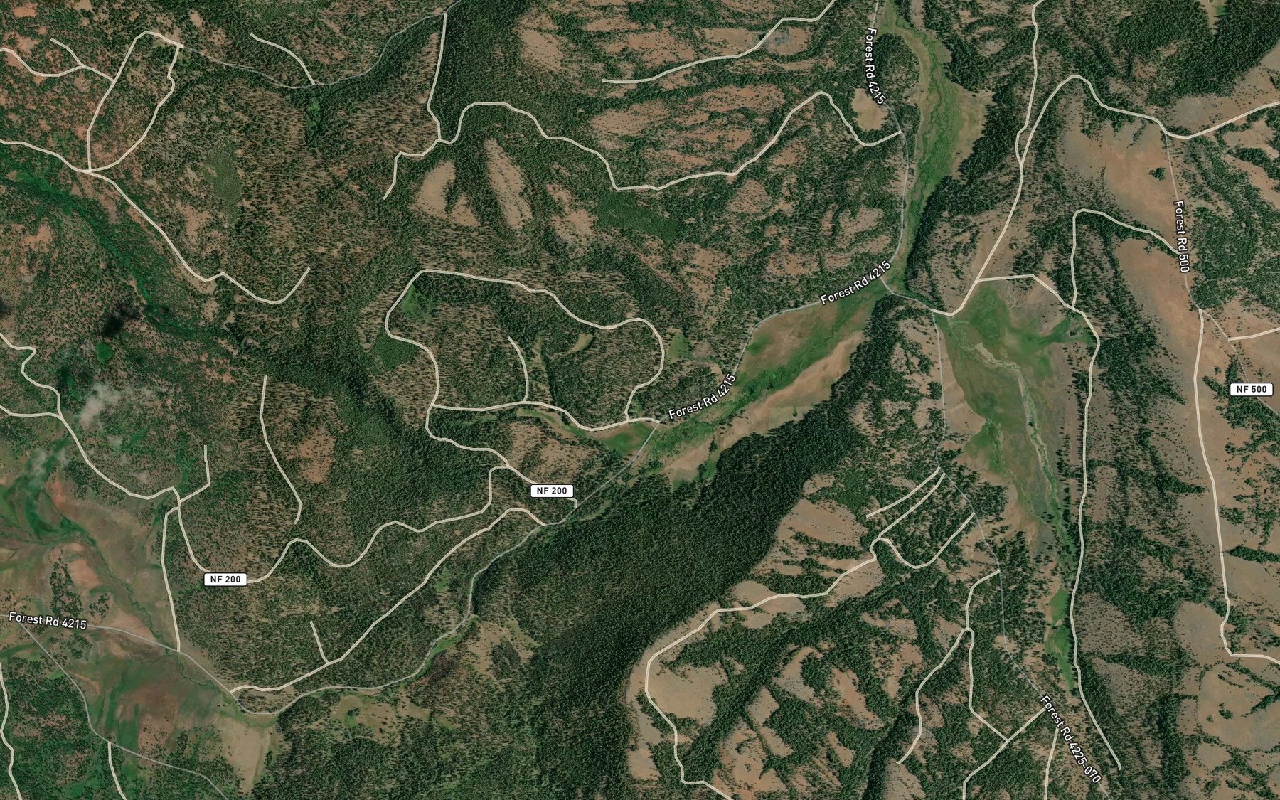 Satellite map of the Biggs Spring