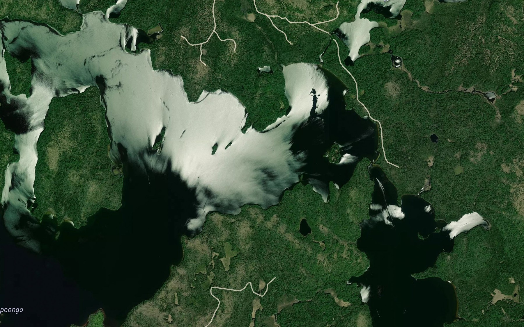 Satellite map of the East Arm