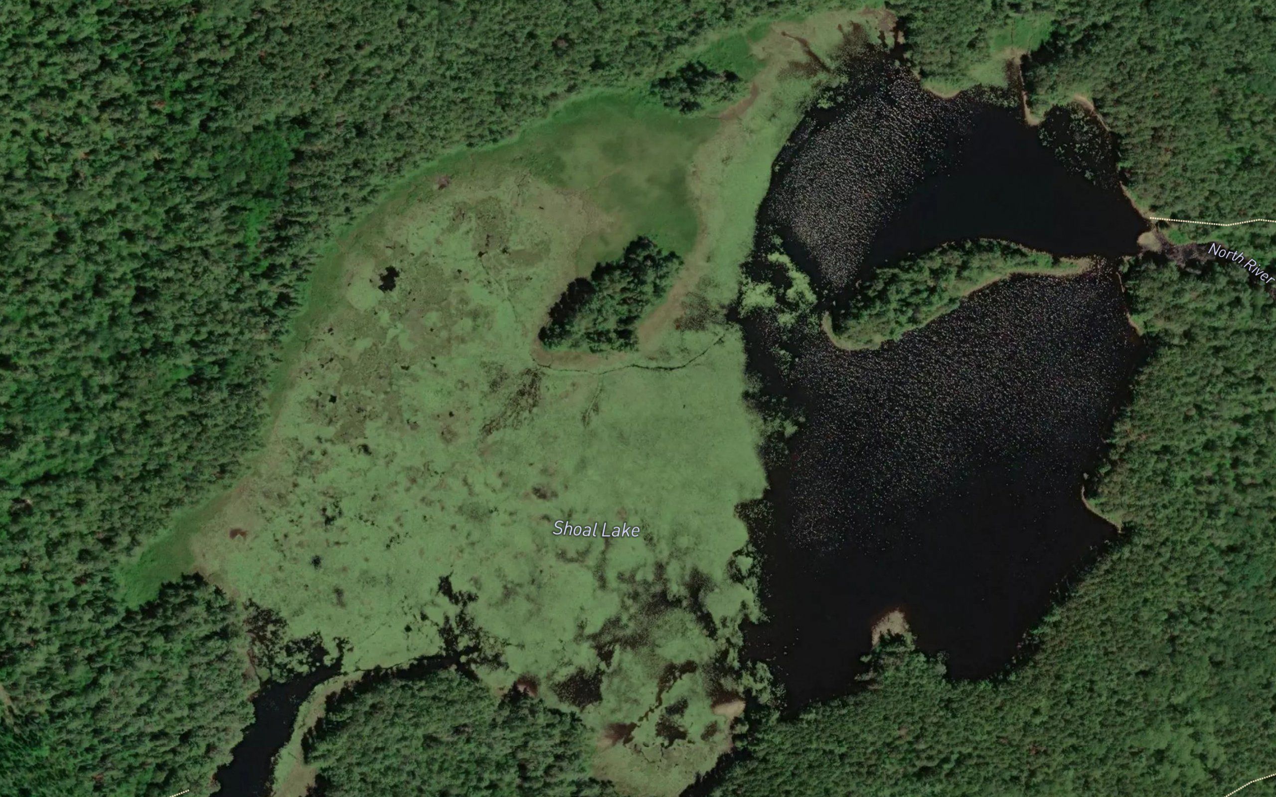Shoal Lake