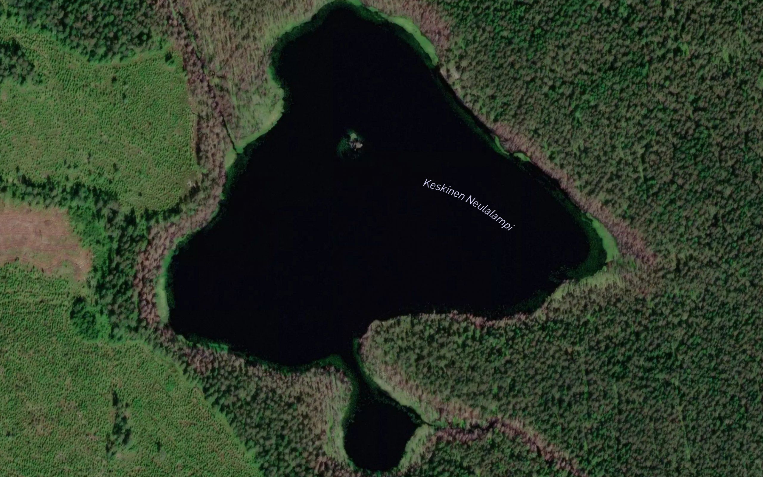 Keskinen Neulalampi