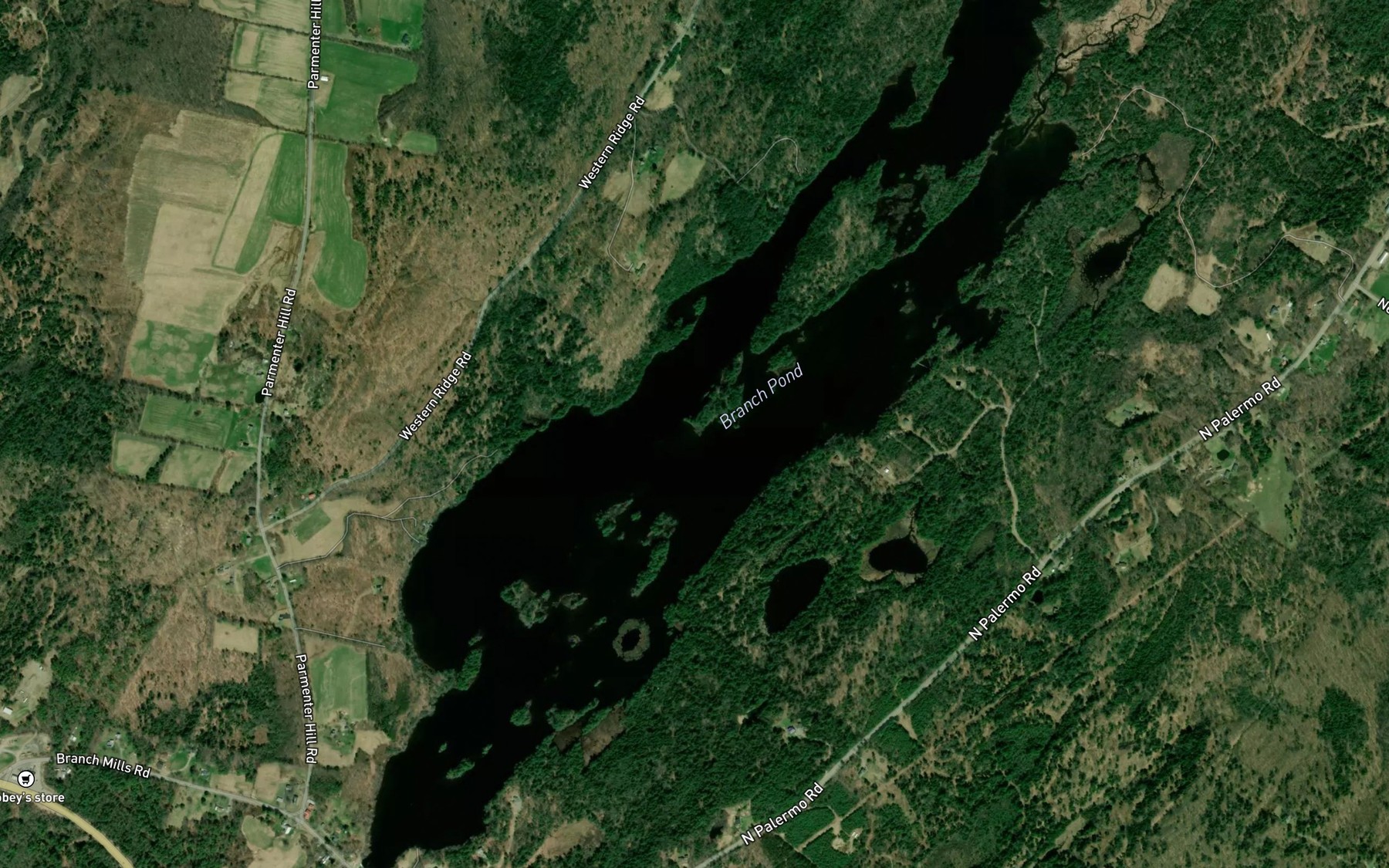 Satellite map of the Branch Pond