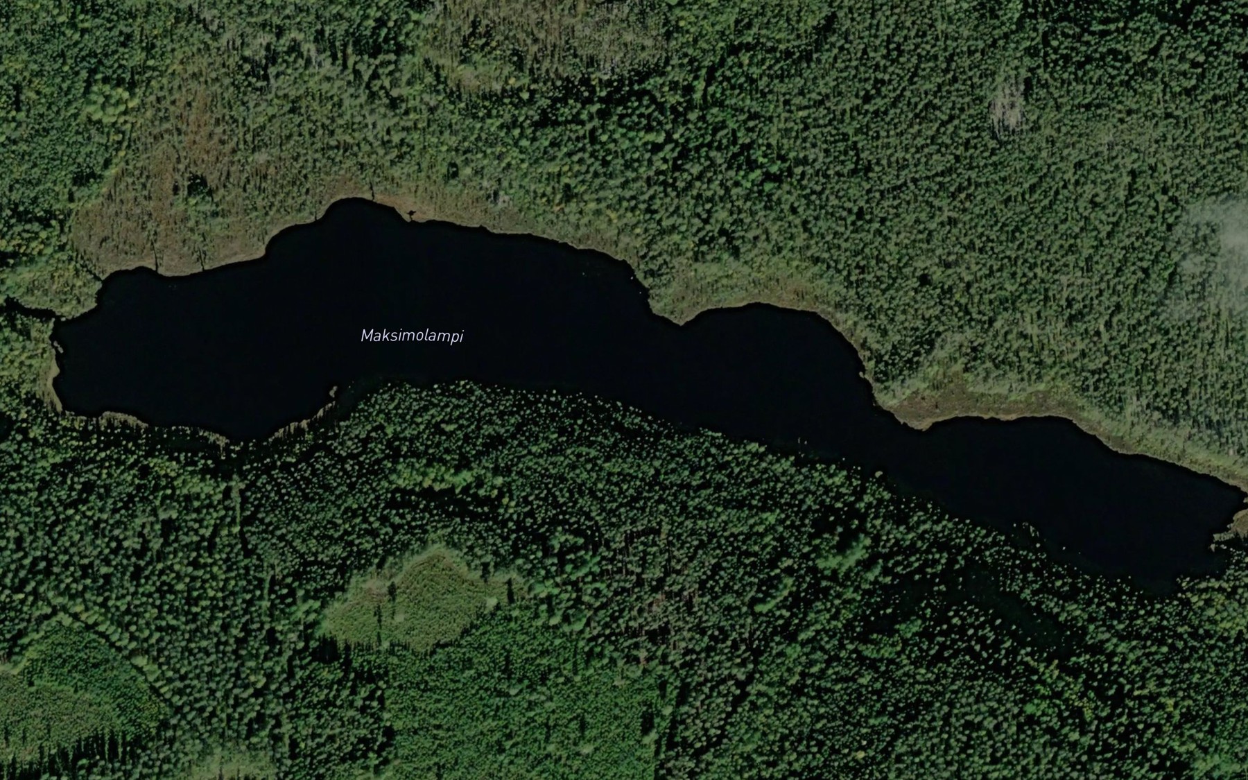 Satellite map of the Maksimolampi