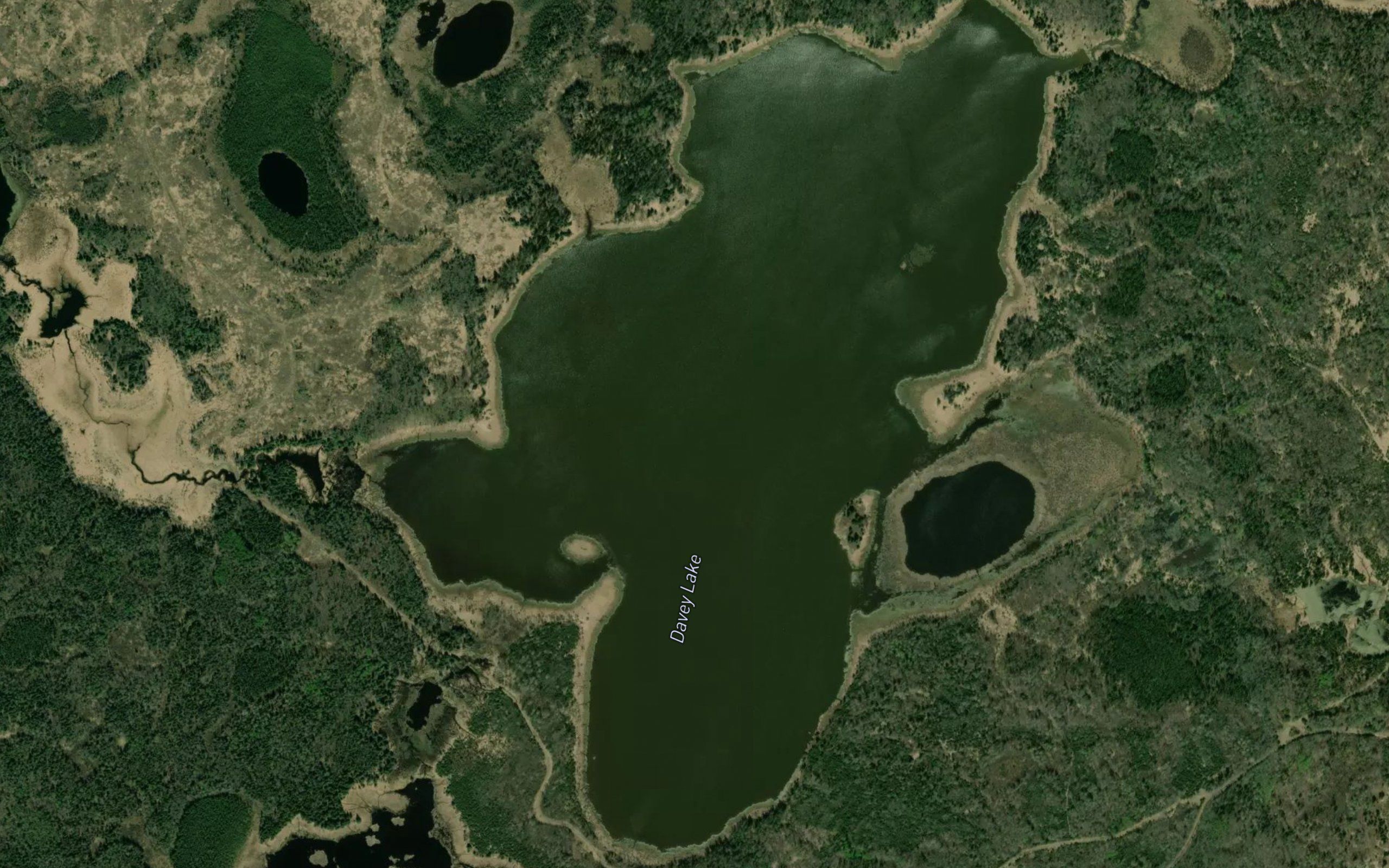 Davey Lake