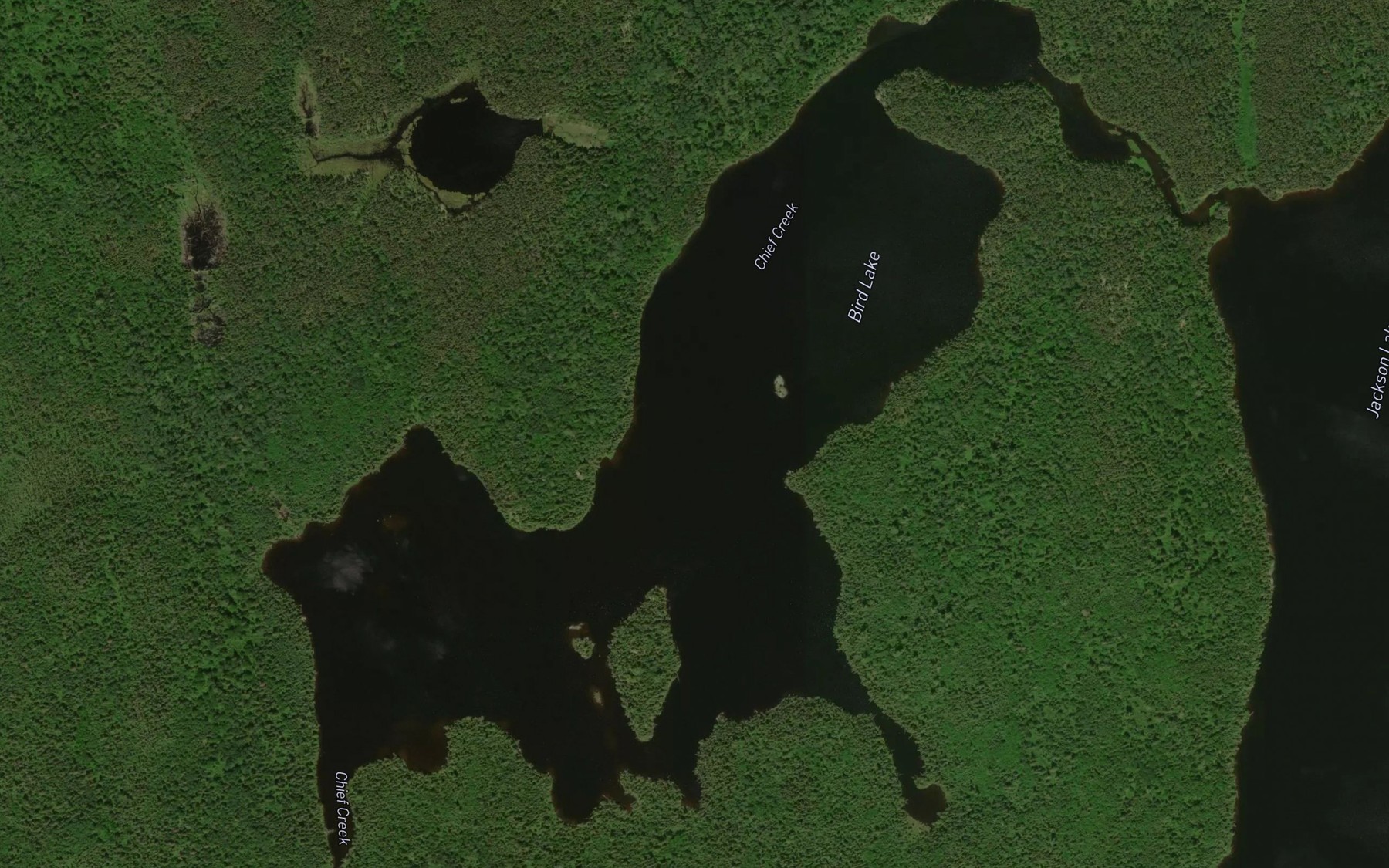 Satellite map of the Bird Lake