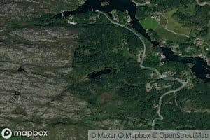 Haugatjorn