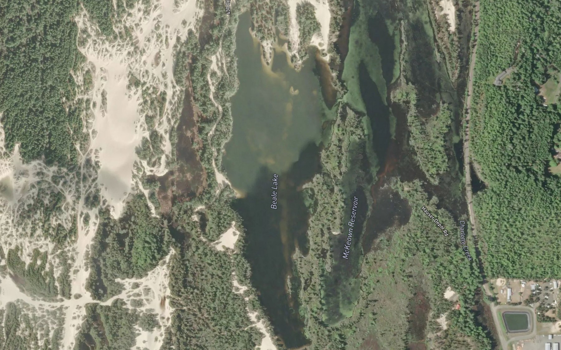 Satellite map of the Beale Lake