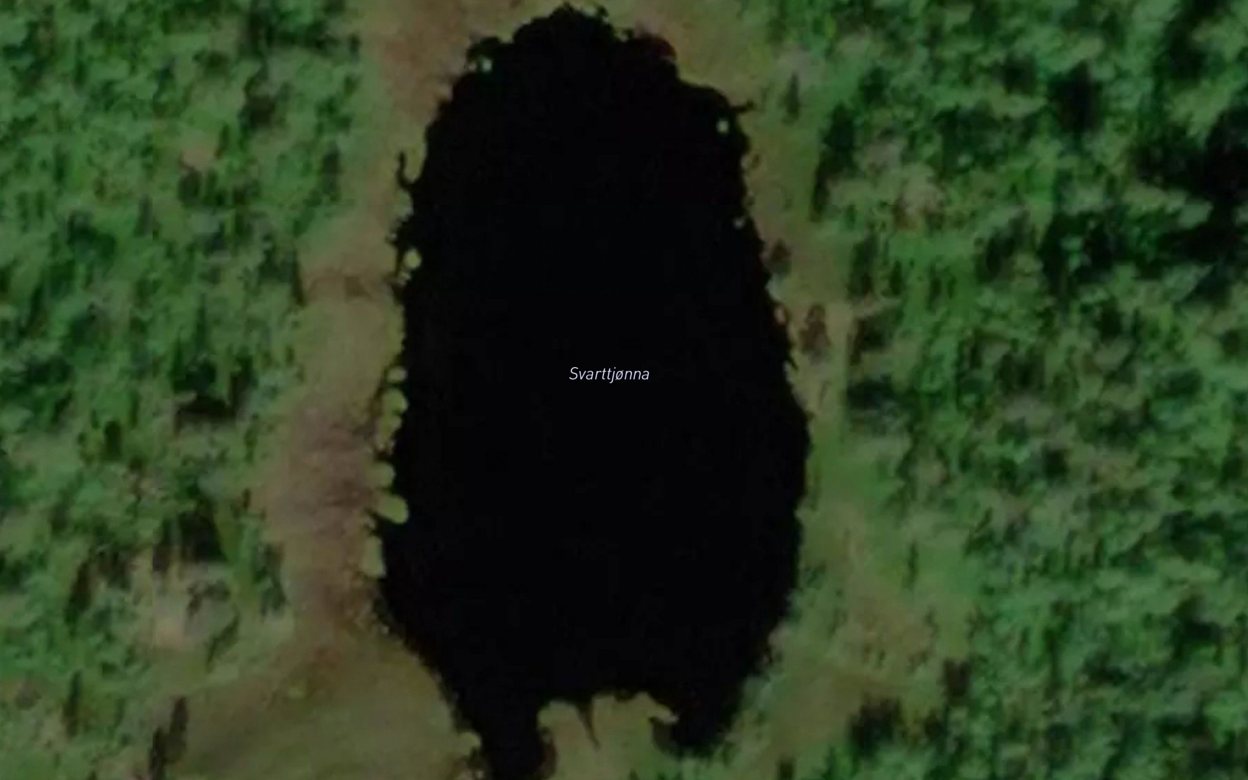 Svarttjorna