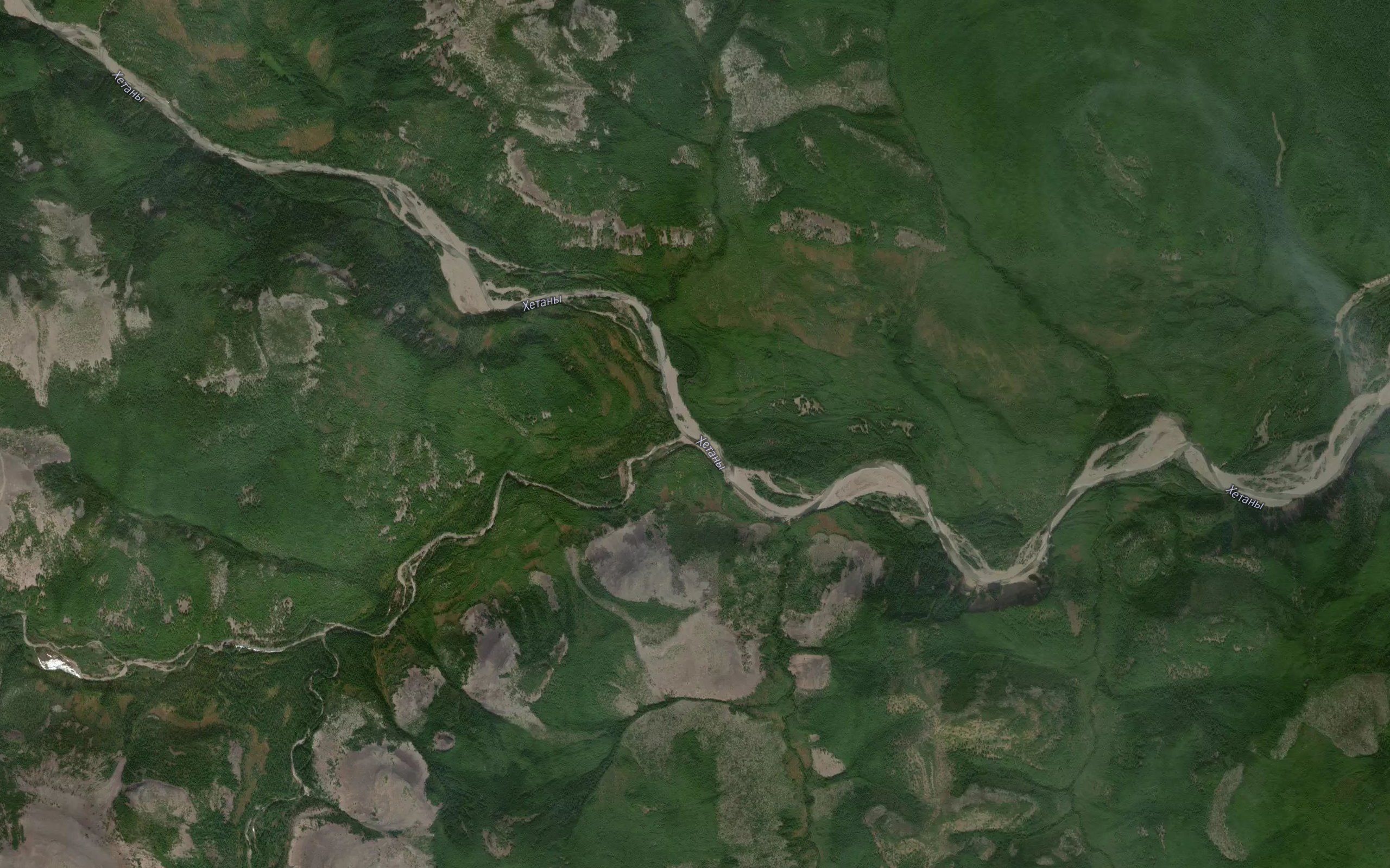 Snezhnyy