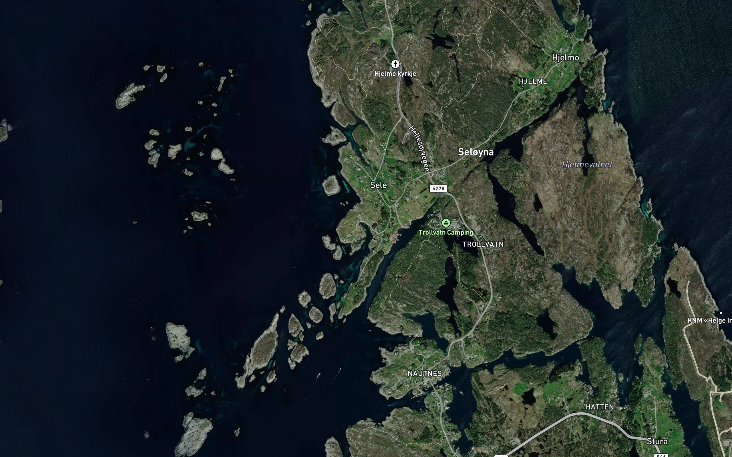 Svintraebukta