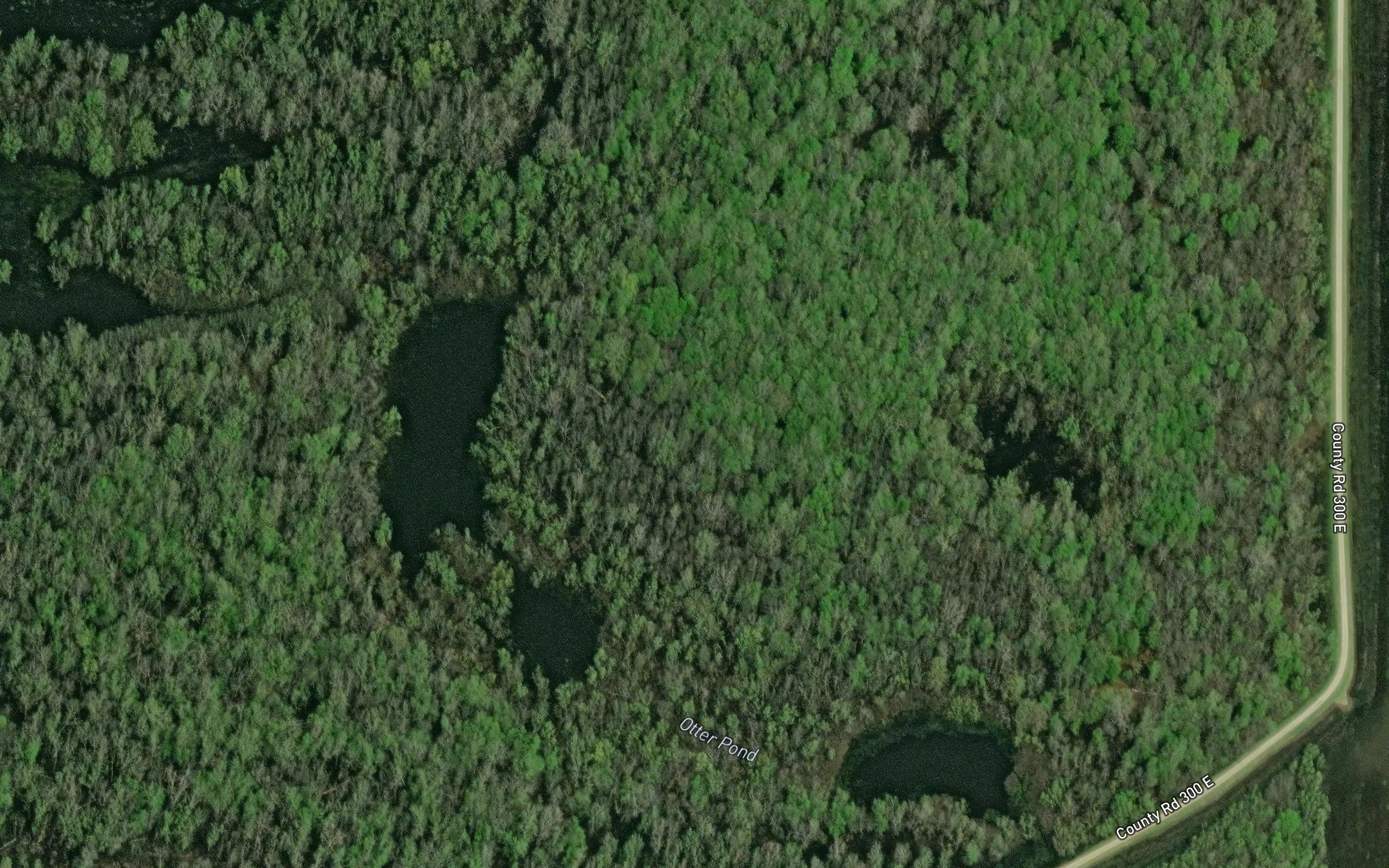 Otter Pond