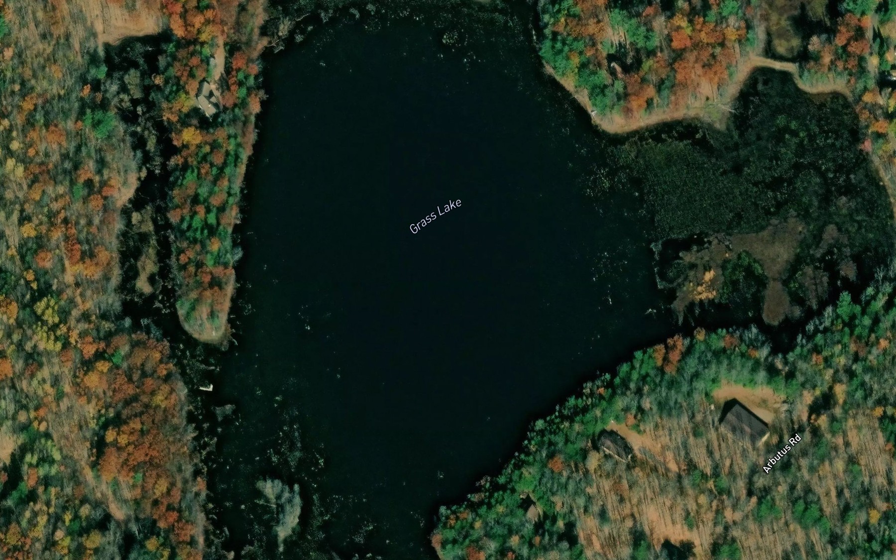 Satellite map of the Grass Lake