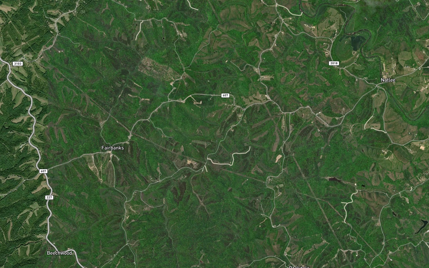 Satellite map of the Shellbark Branch