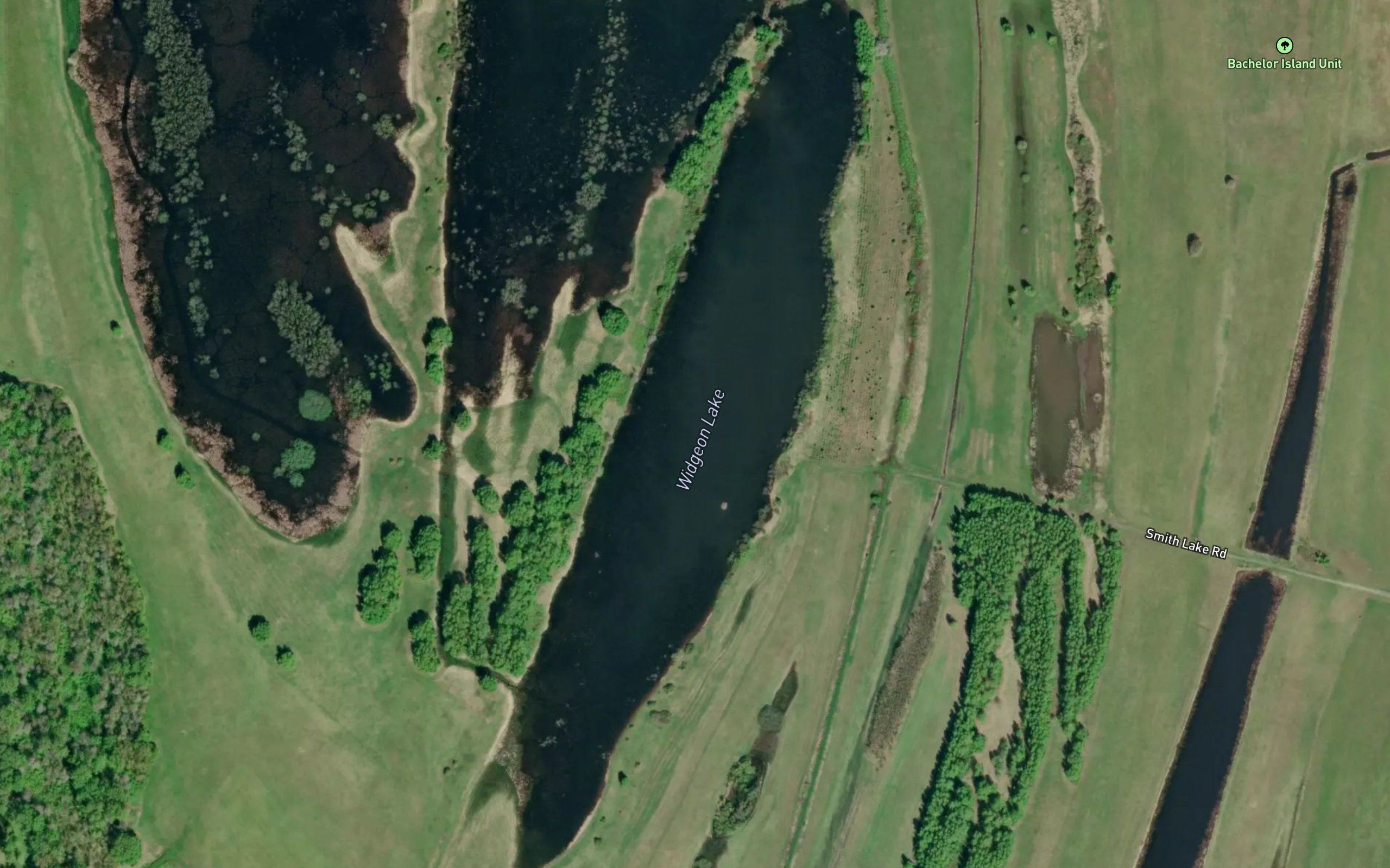 Widgeon Lake