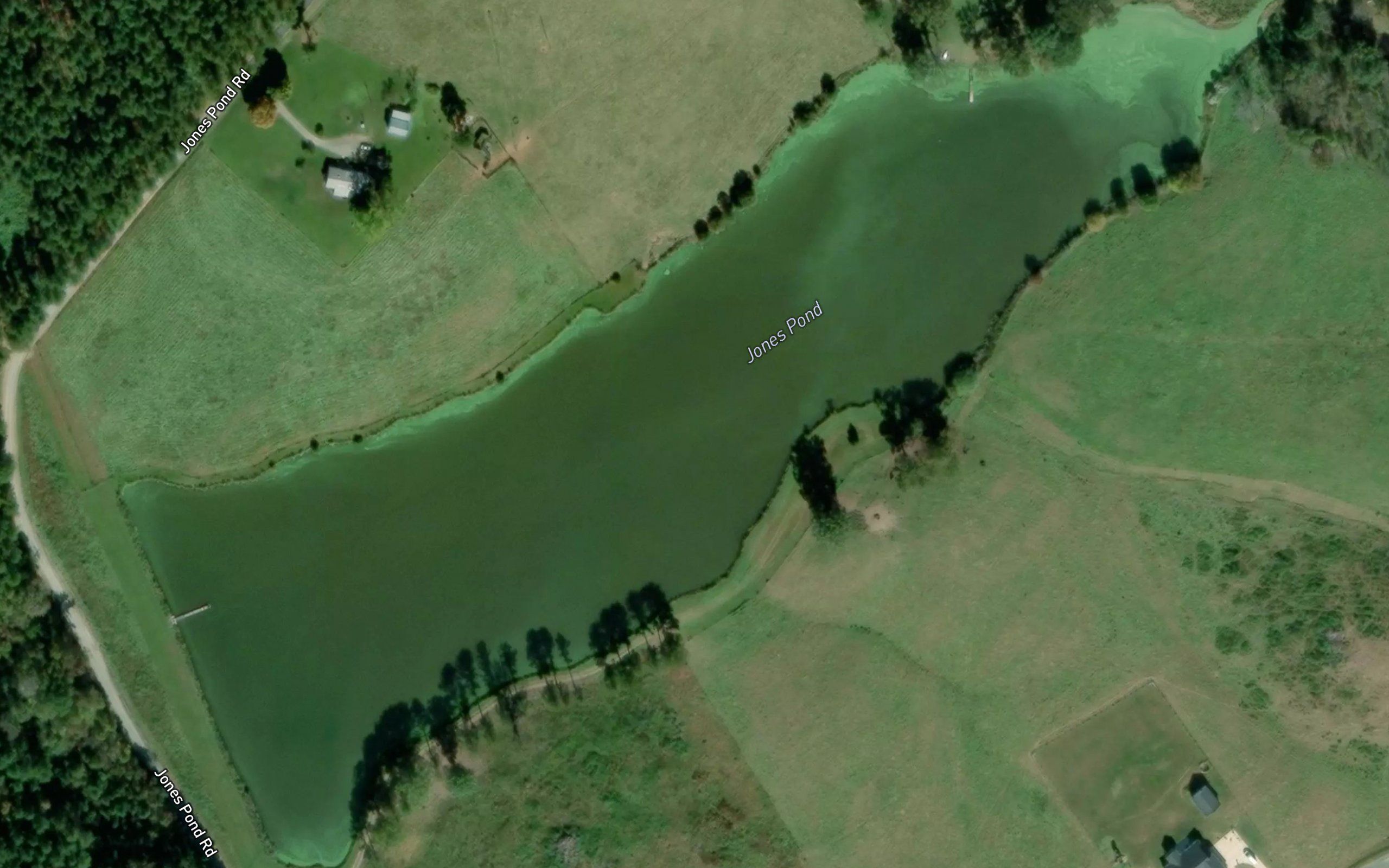 Jones Pond