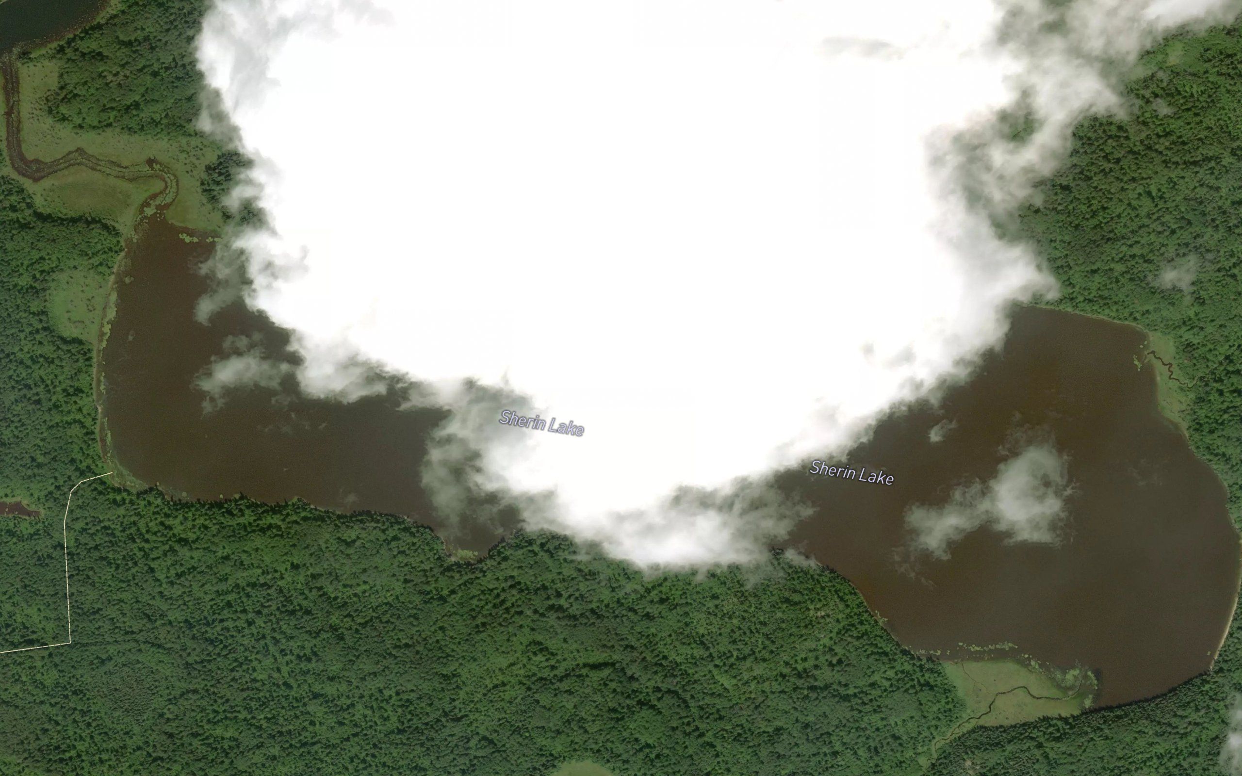 Sherin Lake
