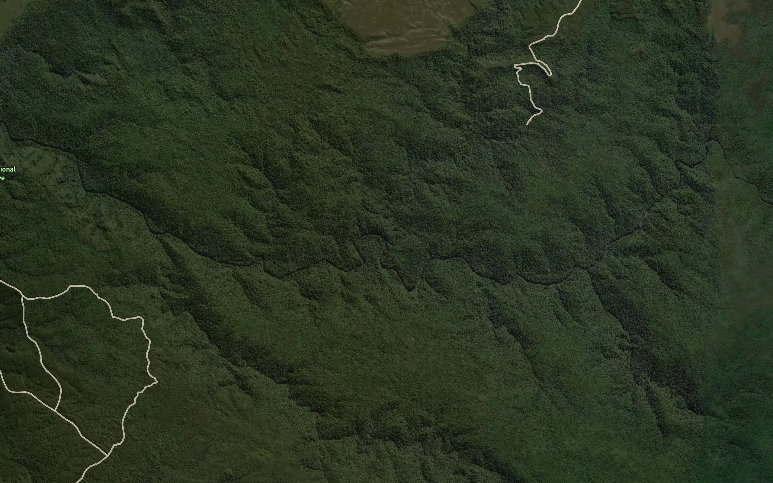 Bottle Creek