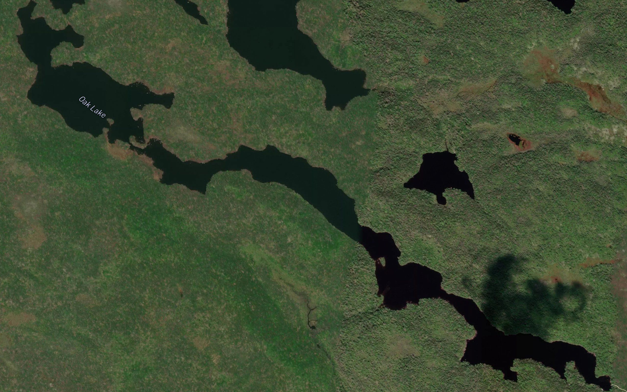 Oak Lake