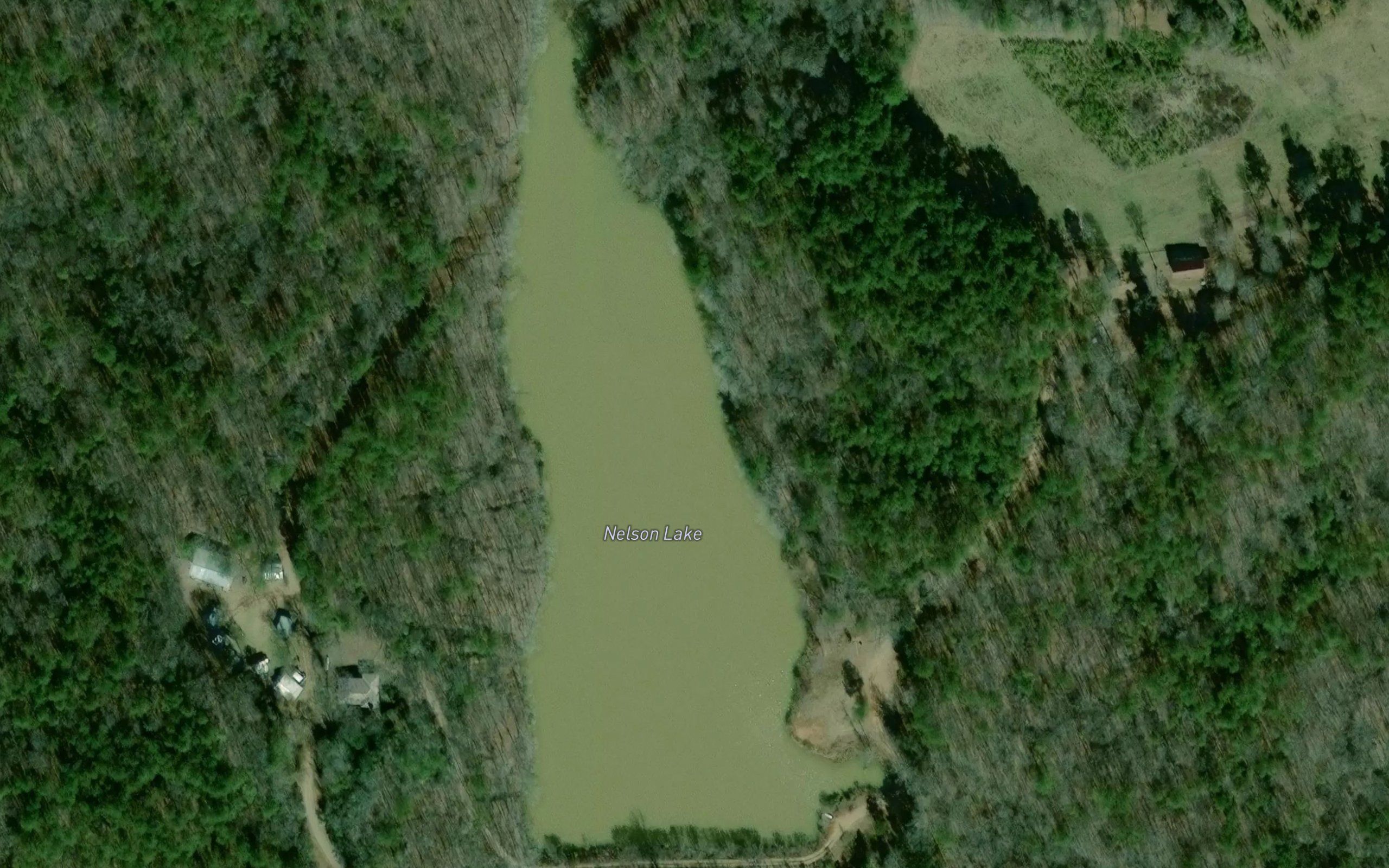 Nelson Lake