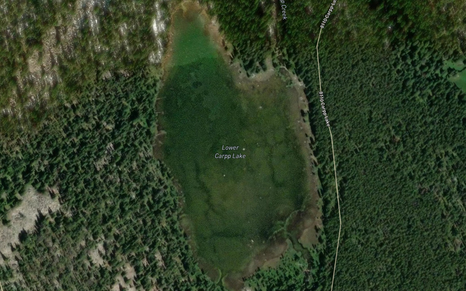 Satellite map of the Lower Carpp Lake