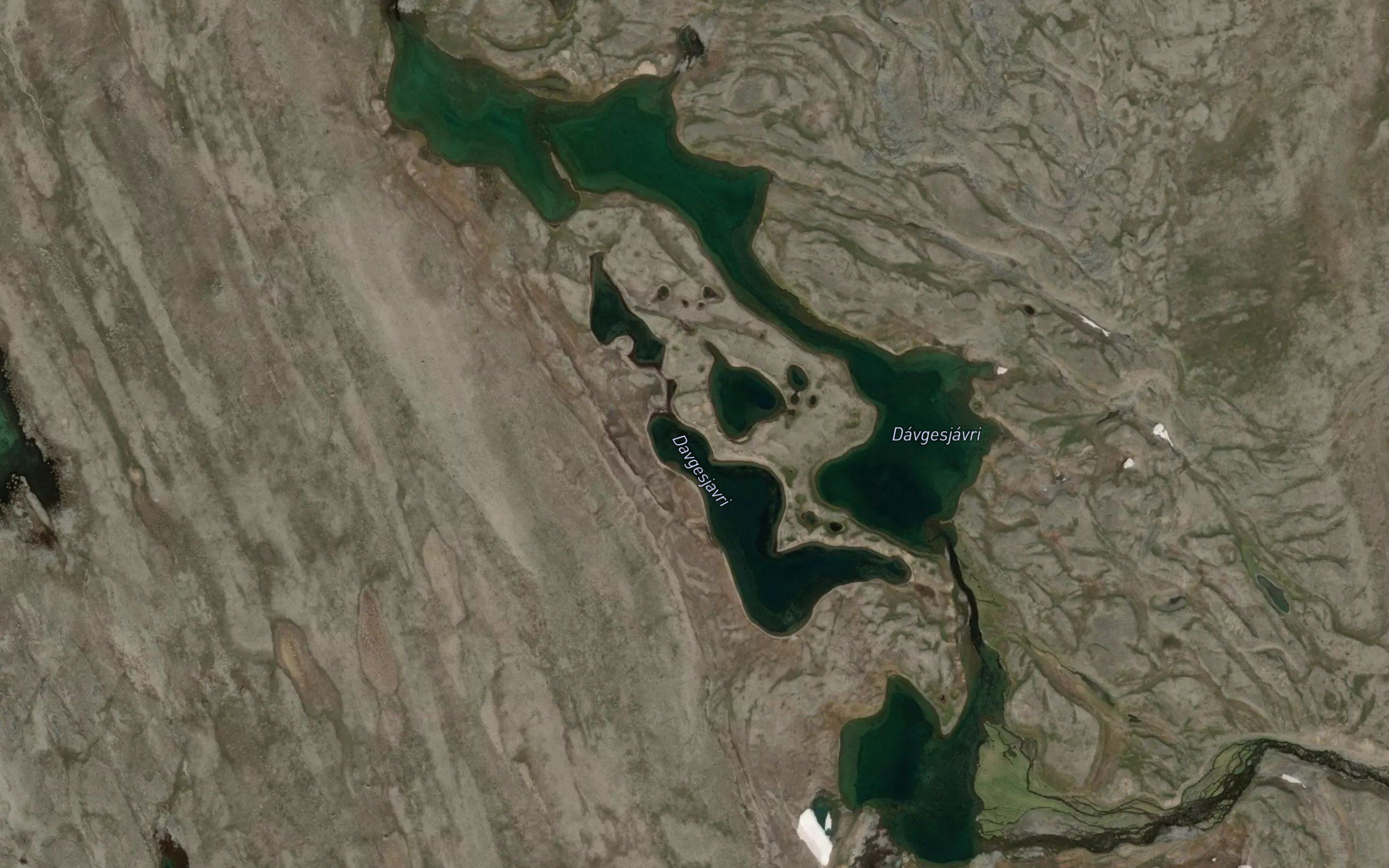 Davgesjavri