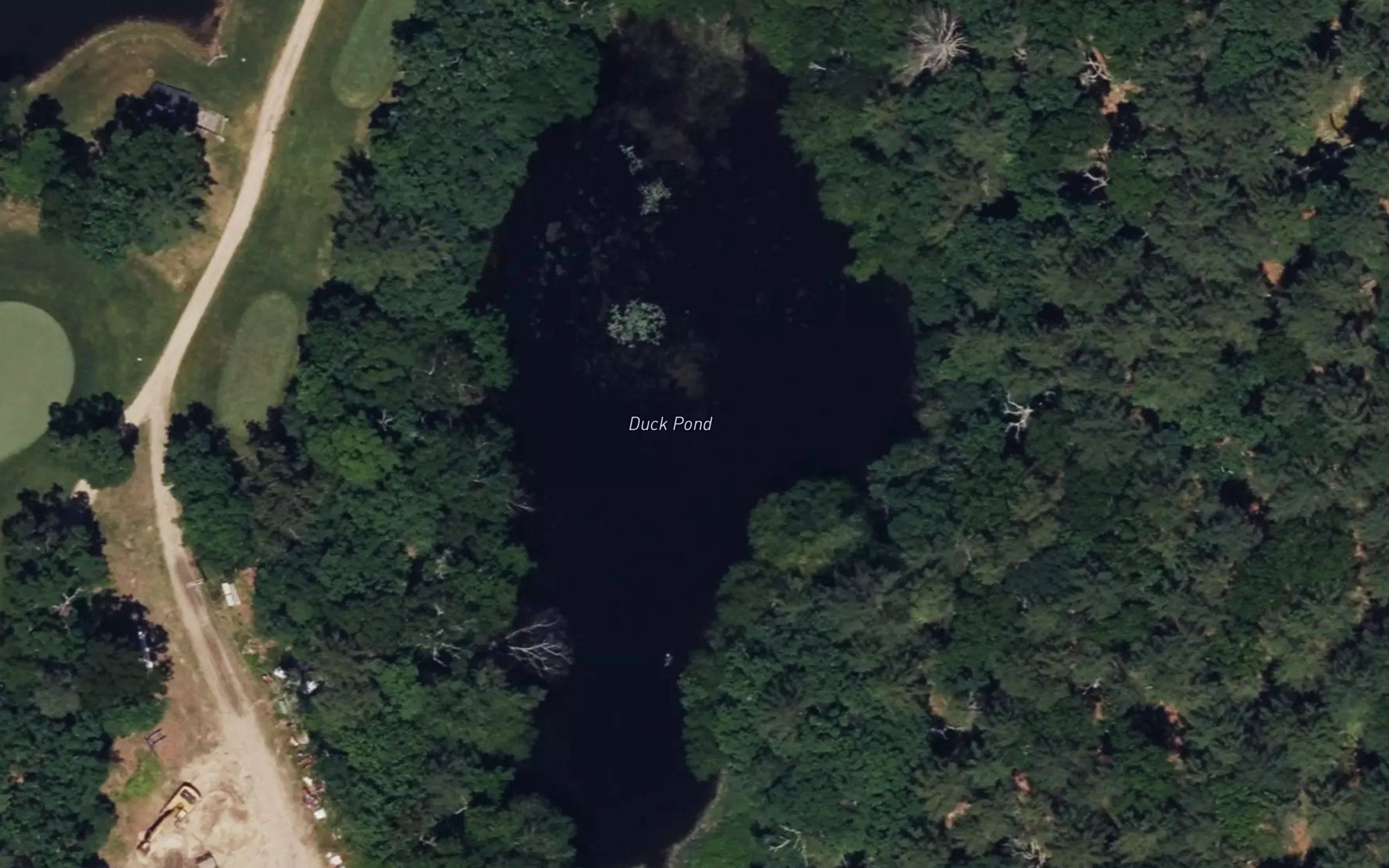 Duck Pond
