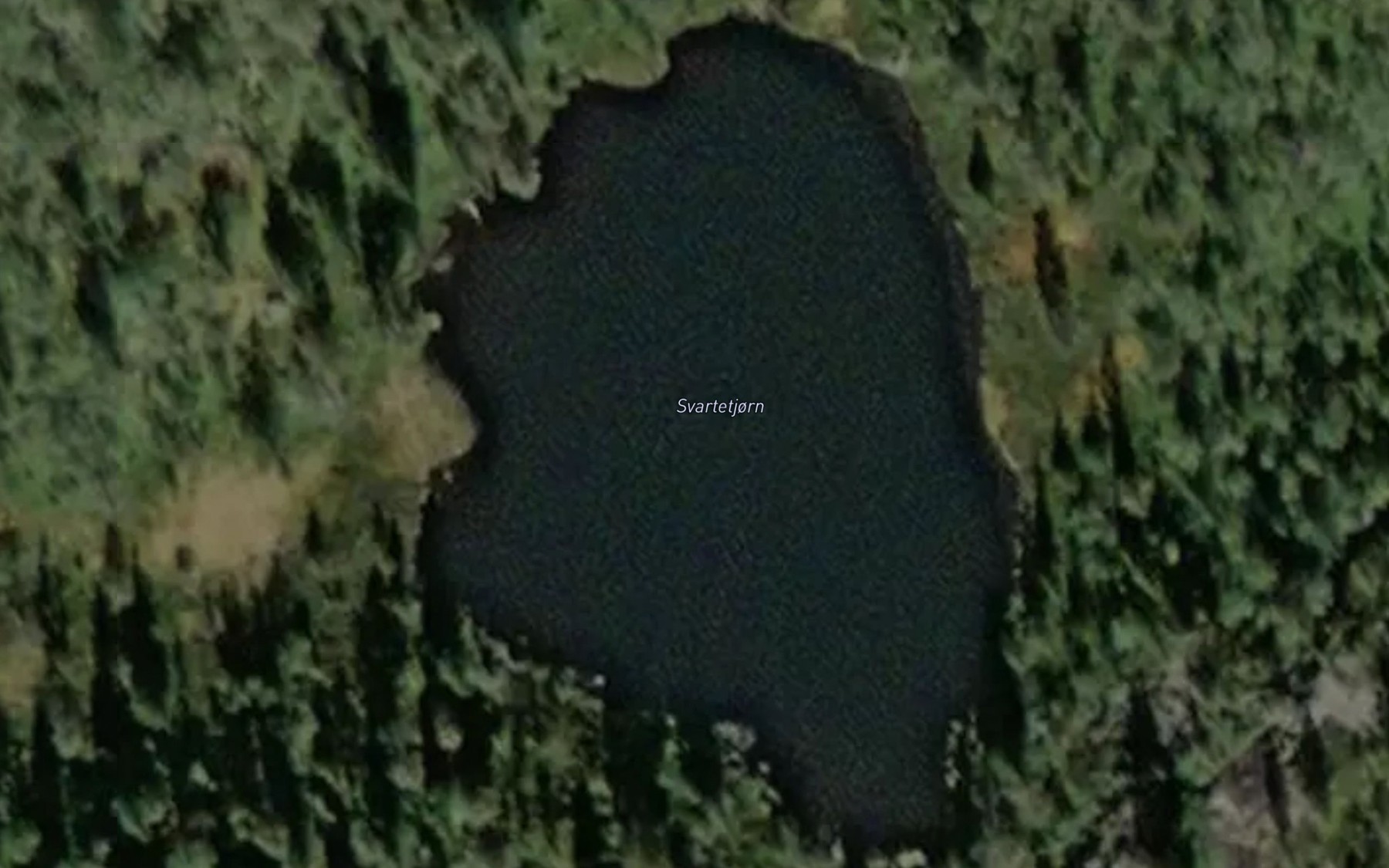 Satellite map of the Svartetjorn