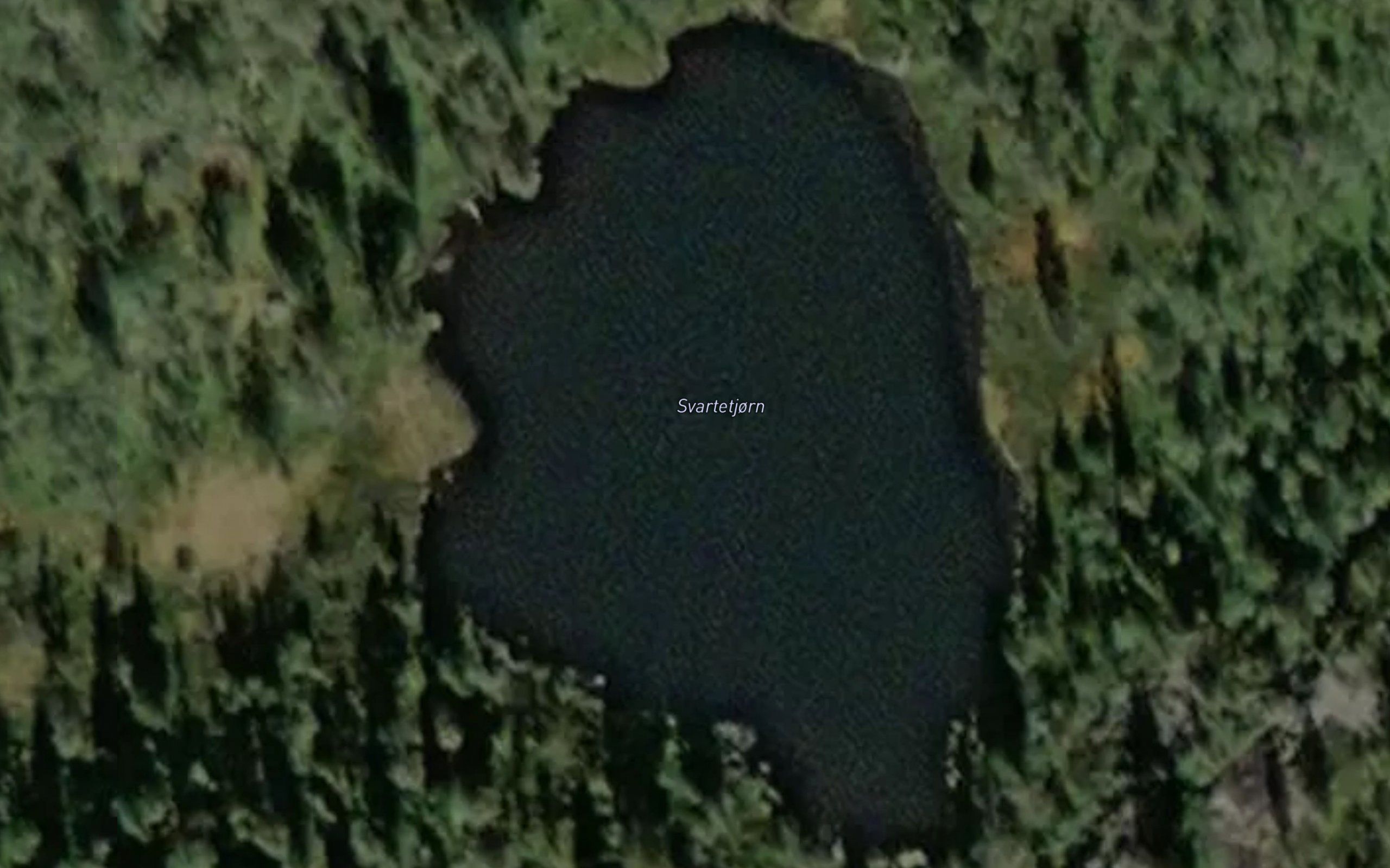 Svartetjorn
