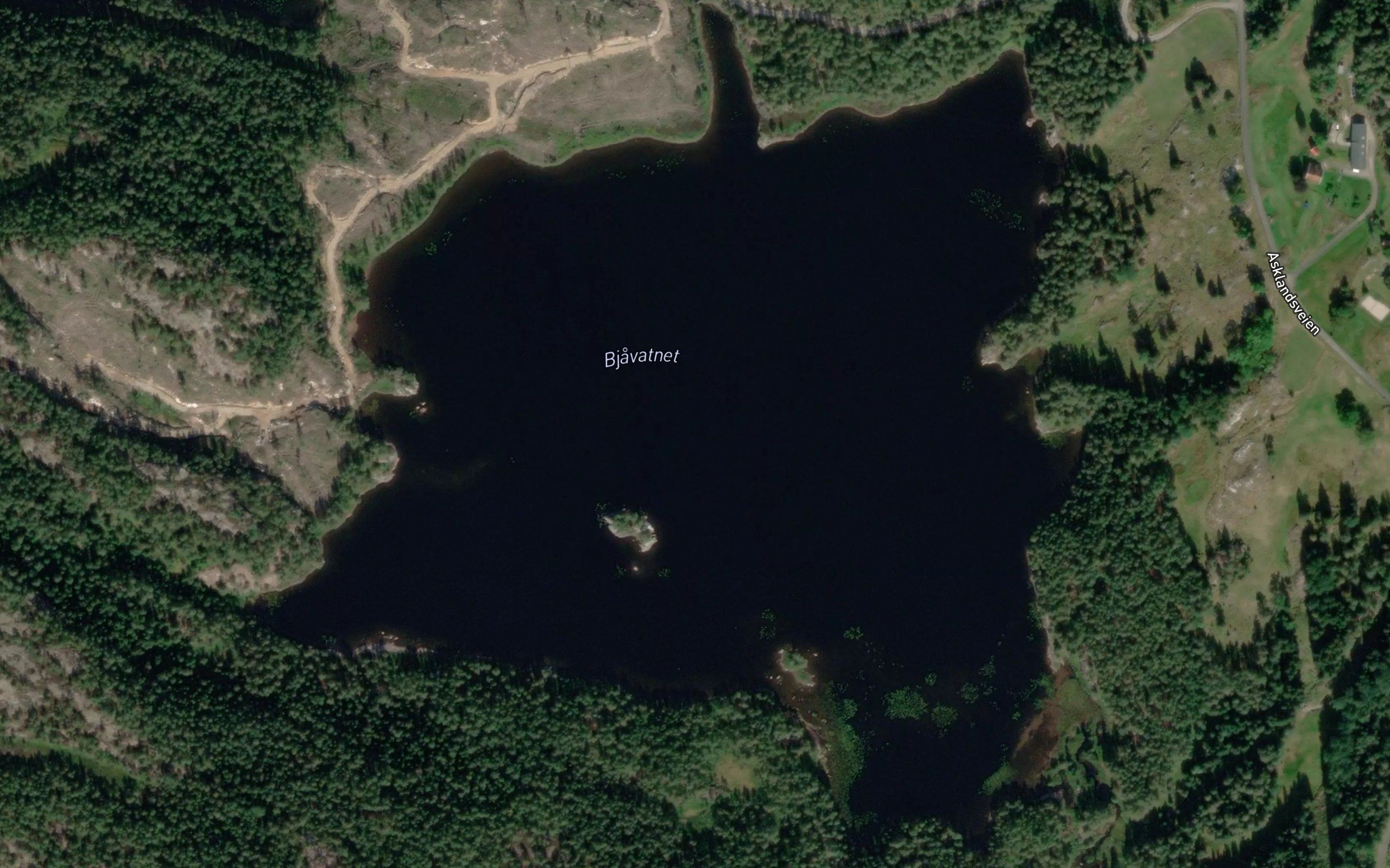 Bjavatnet