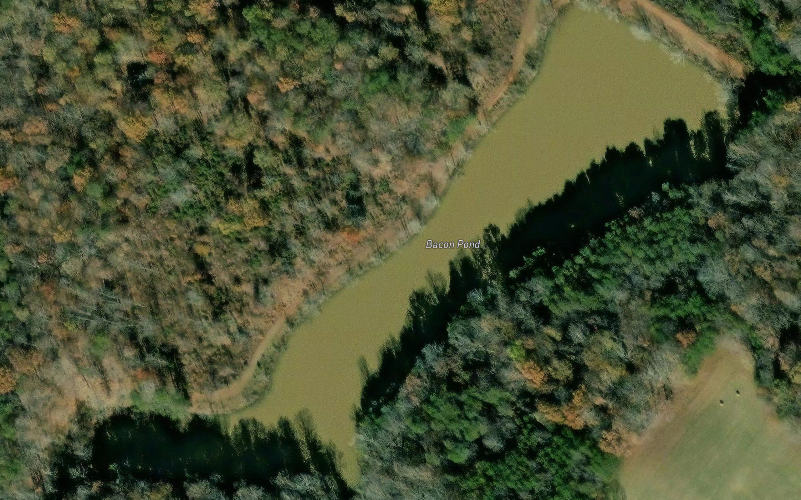 Bacon Pond