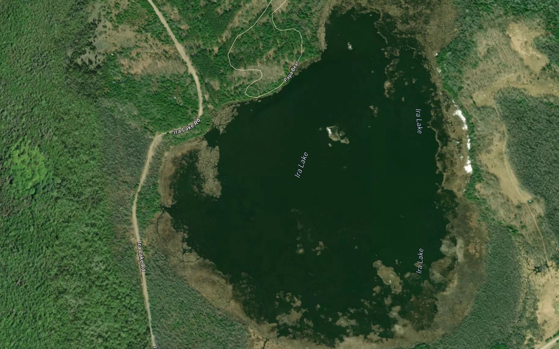 Satellite map of the Ira Lake
