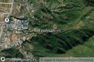 Yeonsan Je Il Jeosuji