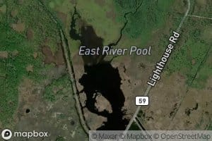 East River Pool
