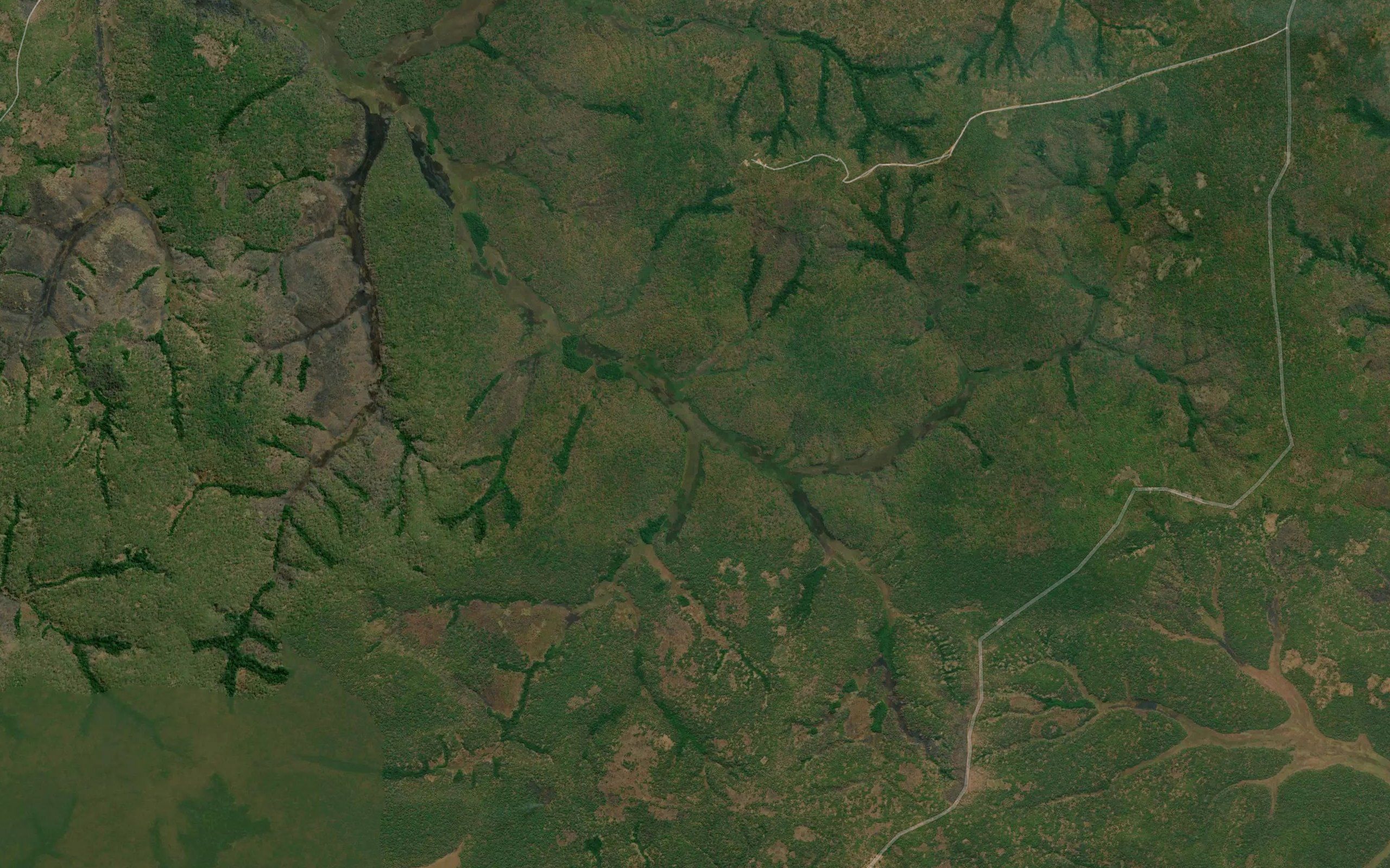 Ngovo