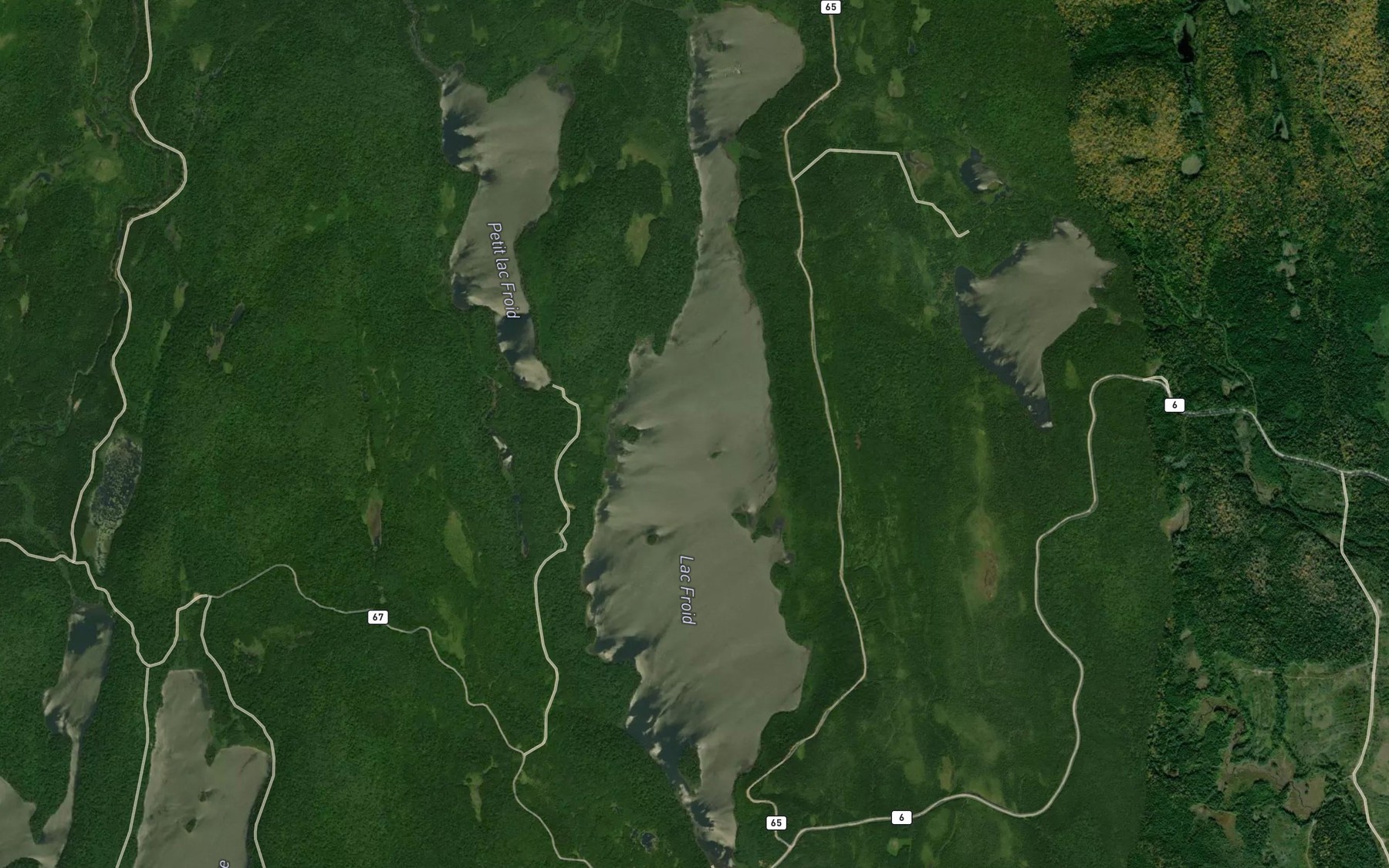 Satellite map of the Lac Froid