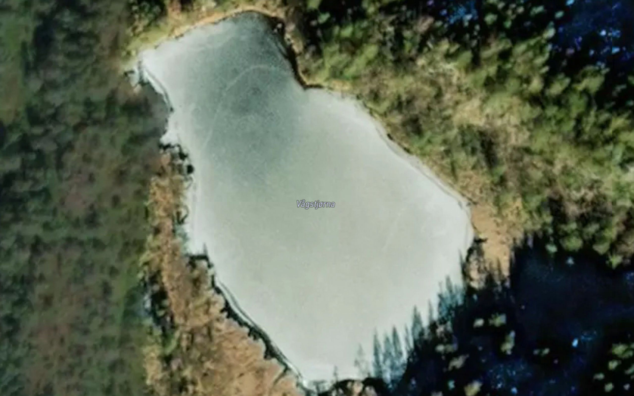 Vagstjorna
