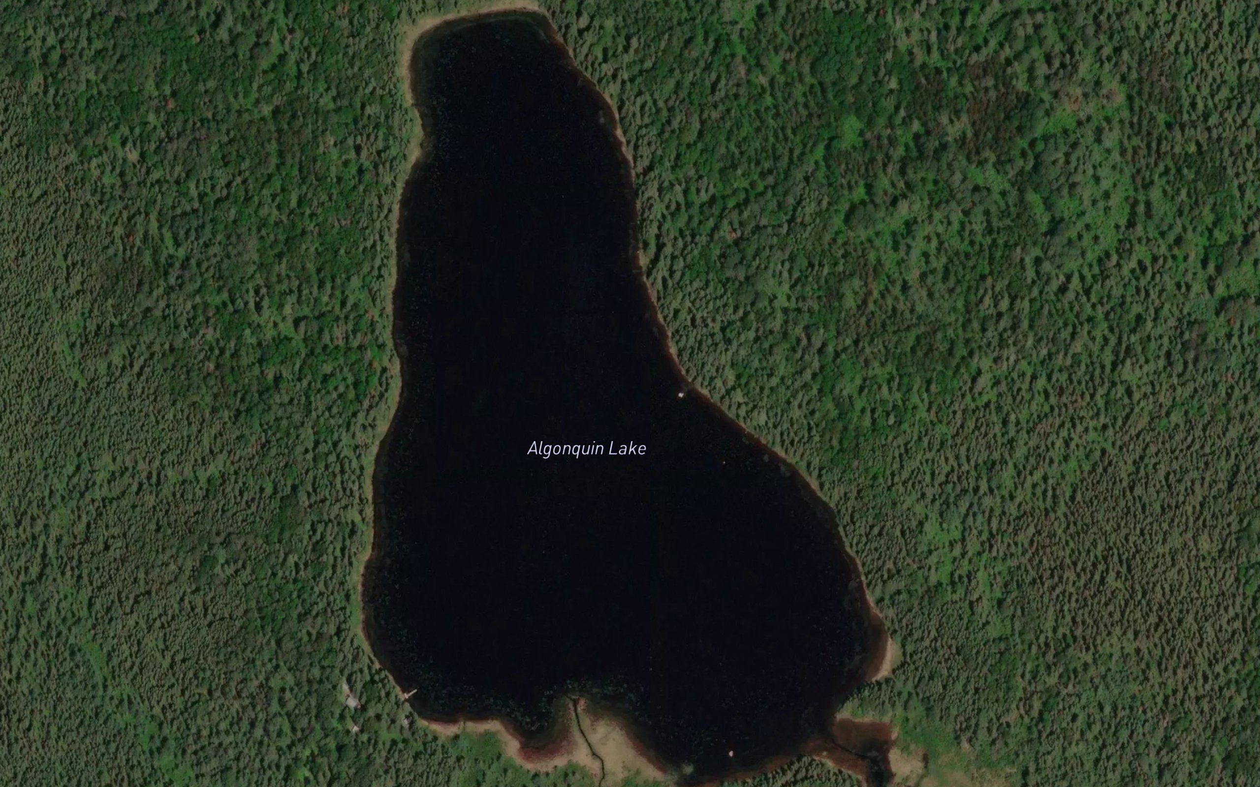 Algonquin Lake