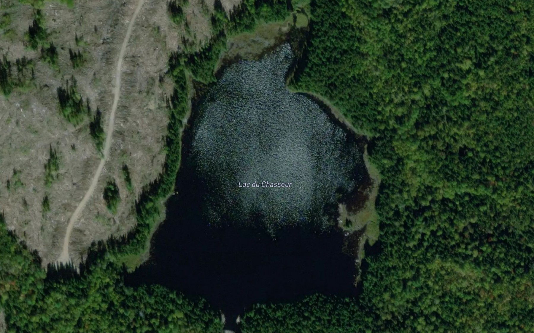 Satellite map of the Lac du Chasseur