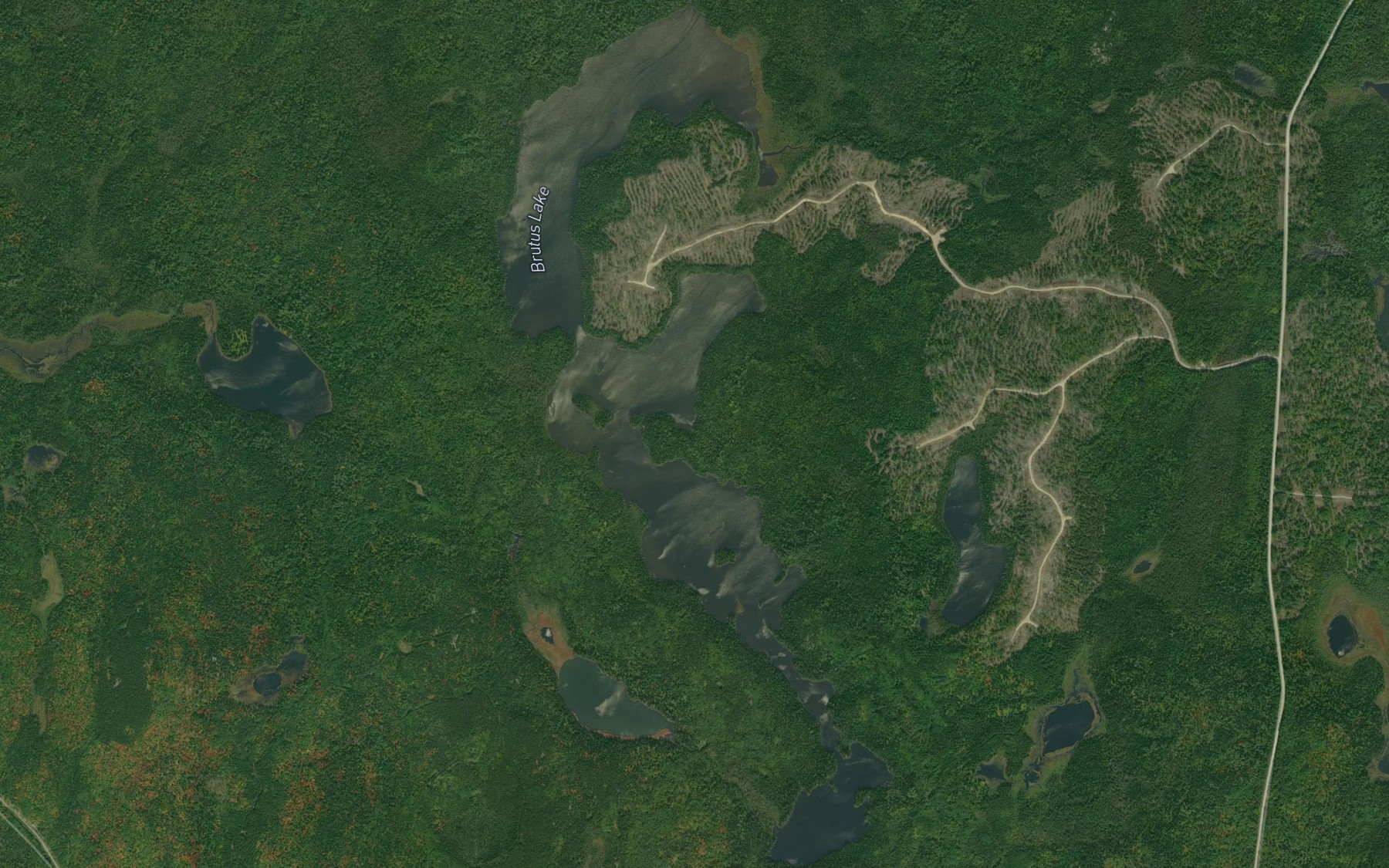Satellite map of the Brutus Lake