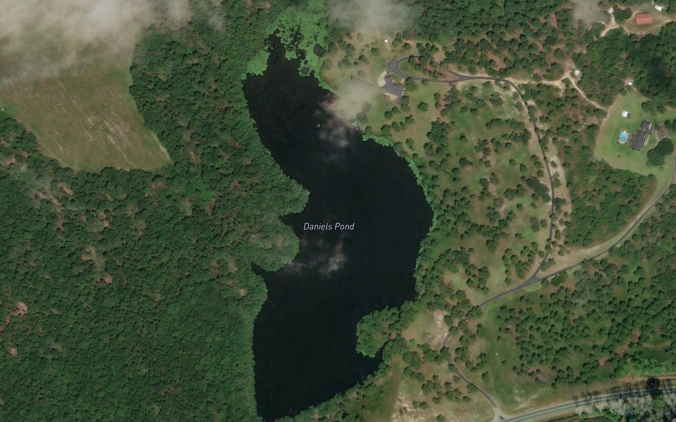 Daniels Pond