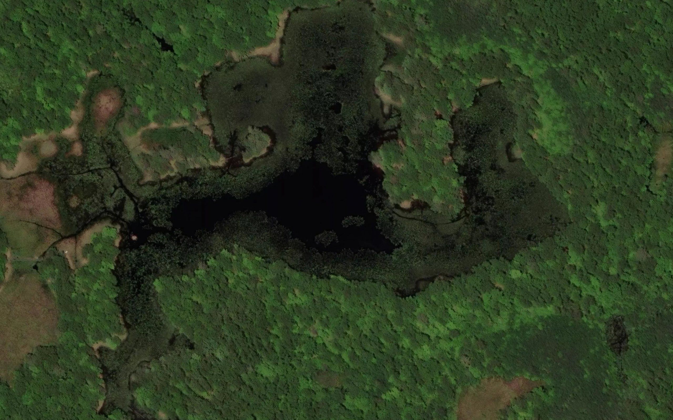 Johnson Lake