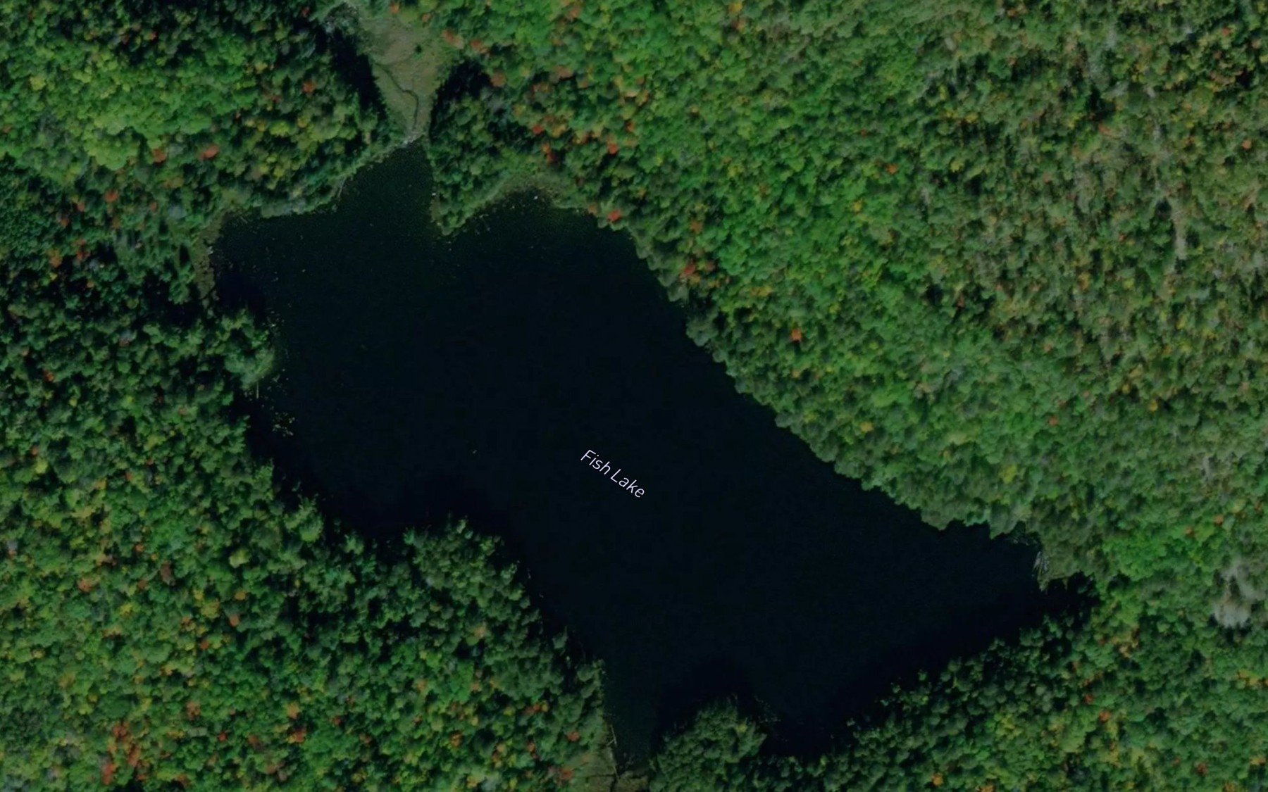 Satellite map of the Fish Lake