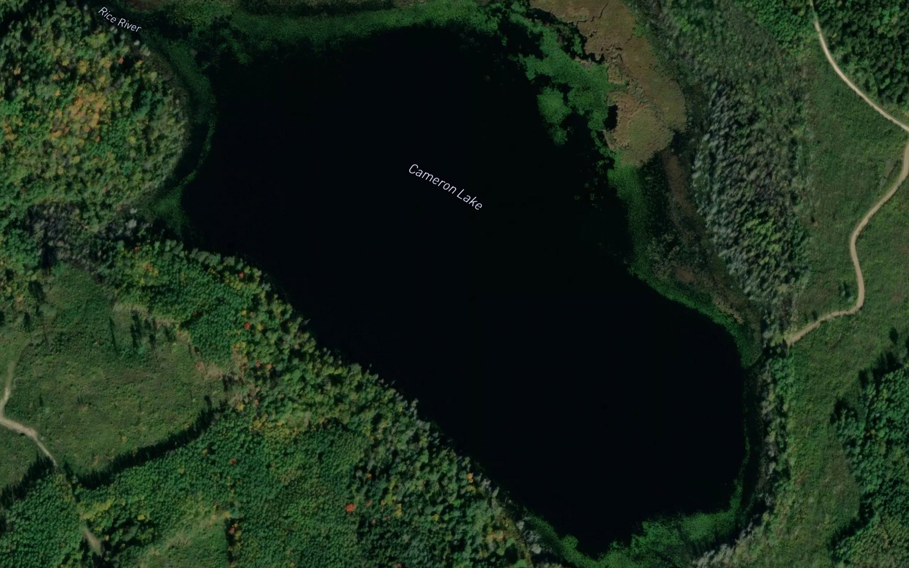 Satellite map of the Cameron Lake