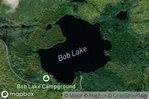 Bob Lake
