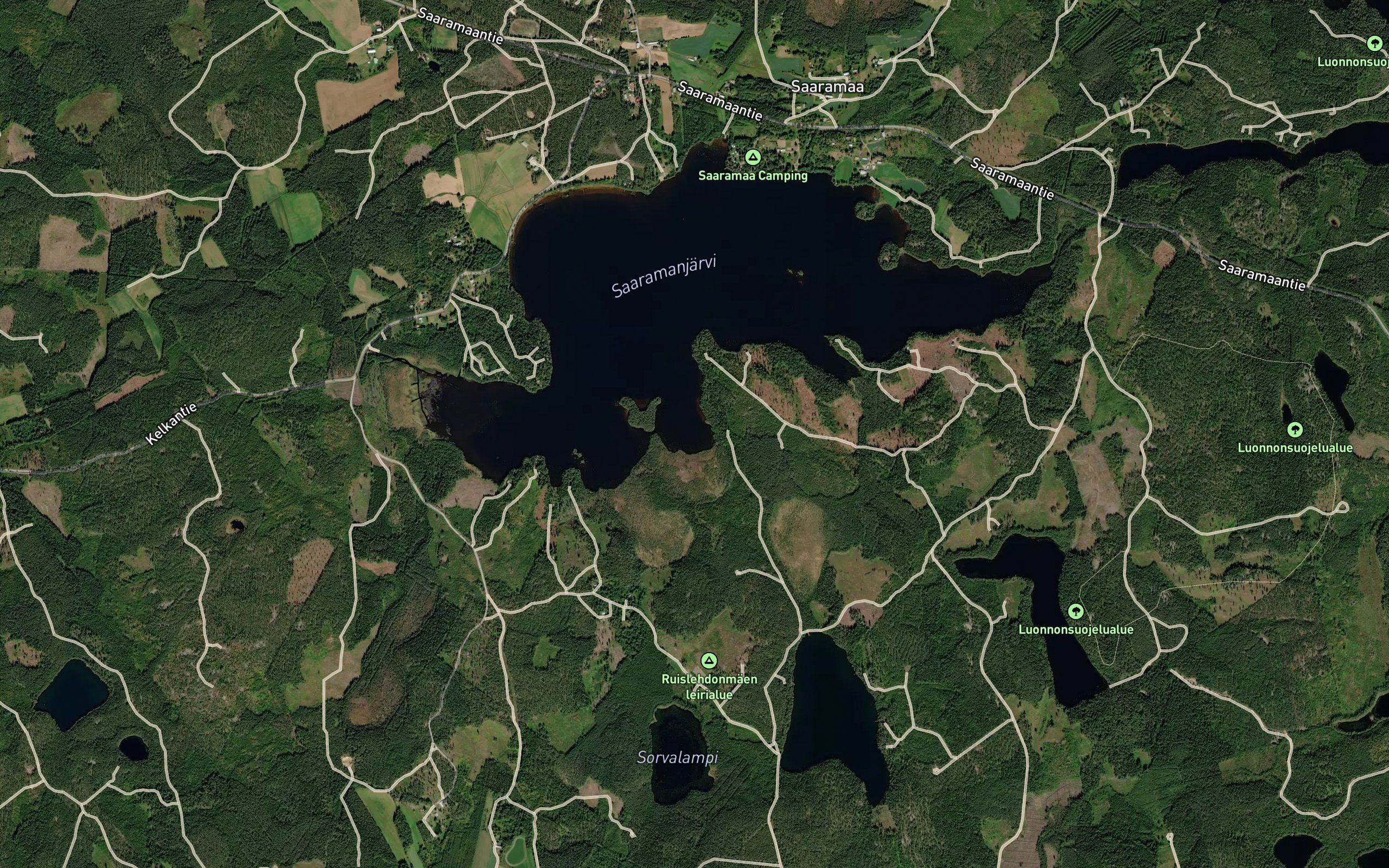 Liikalahti