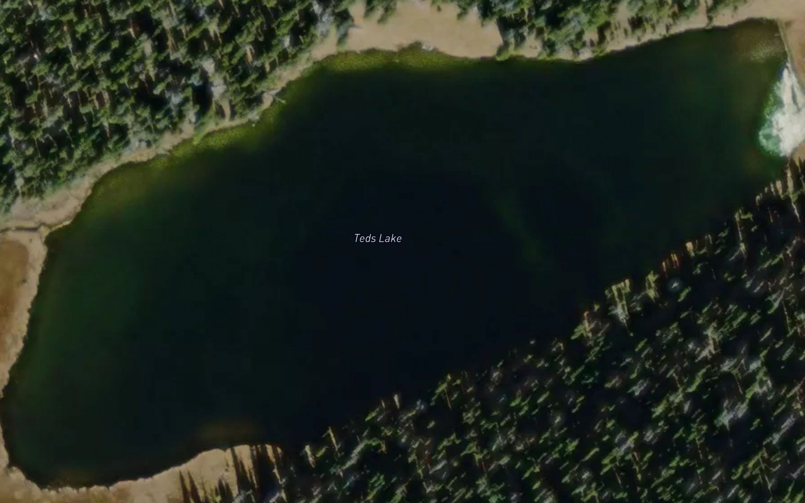 Teds Lake