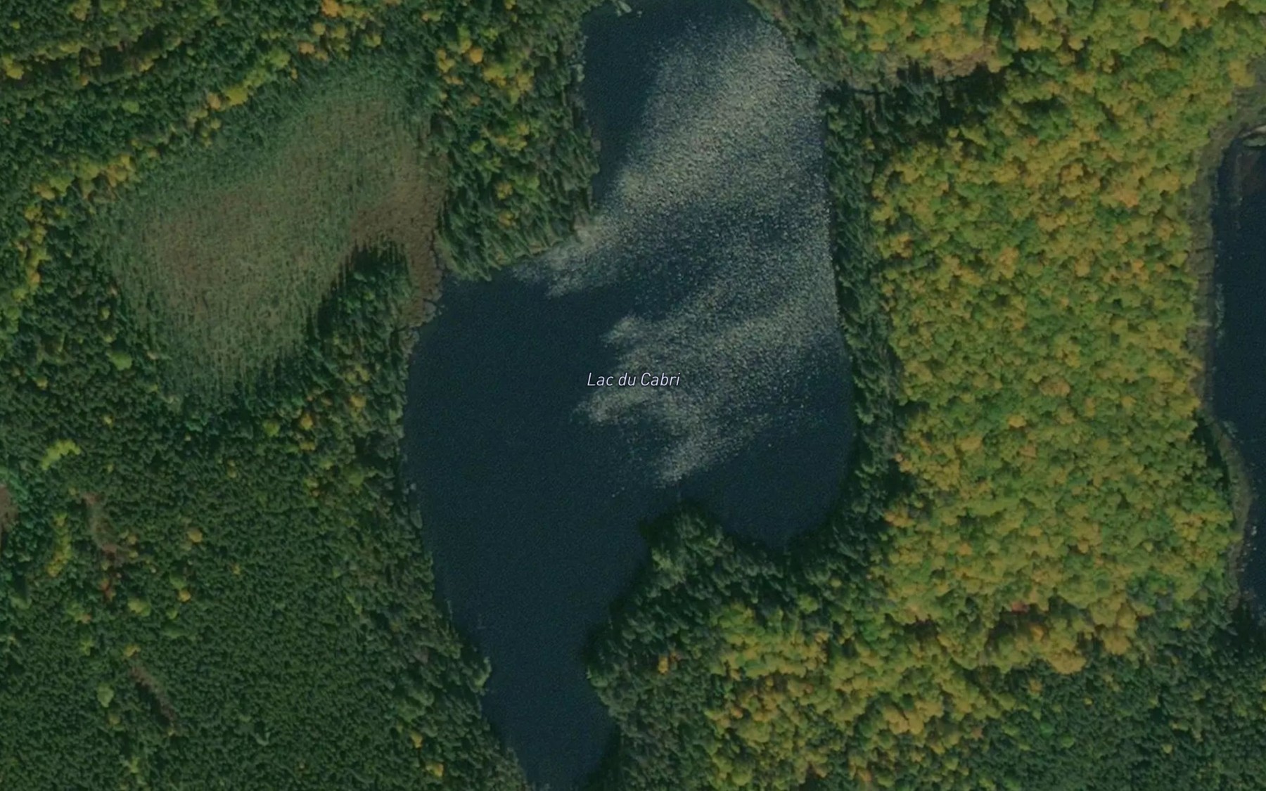 Satellite map of the Lac du Cabri